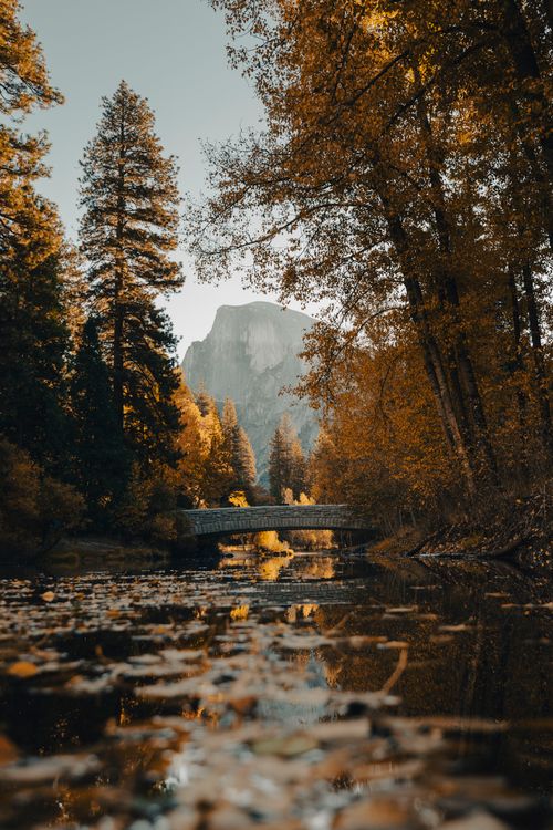 Free Breathtaking view of Half Dome surrounded by autumn foliage and serene water reflection at Yosemite National Park. Stock Photo