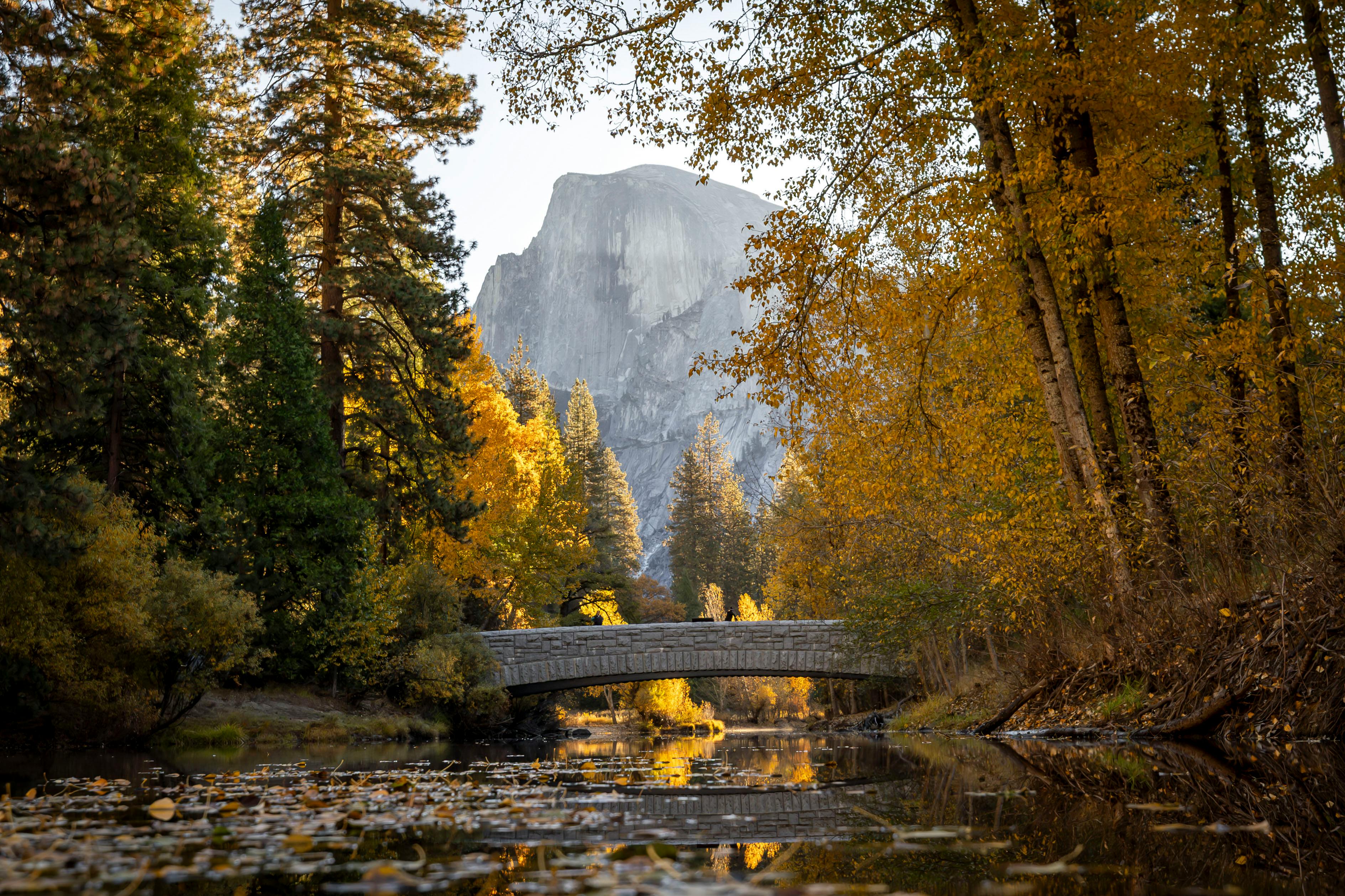 Free stock photo of camping, fall, fall weather