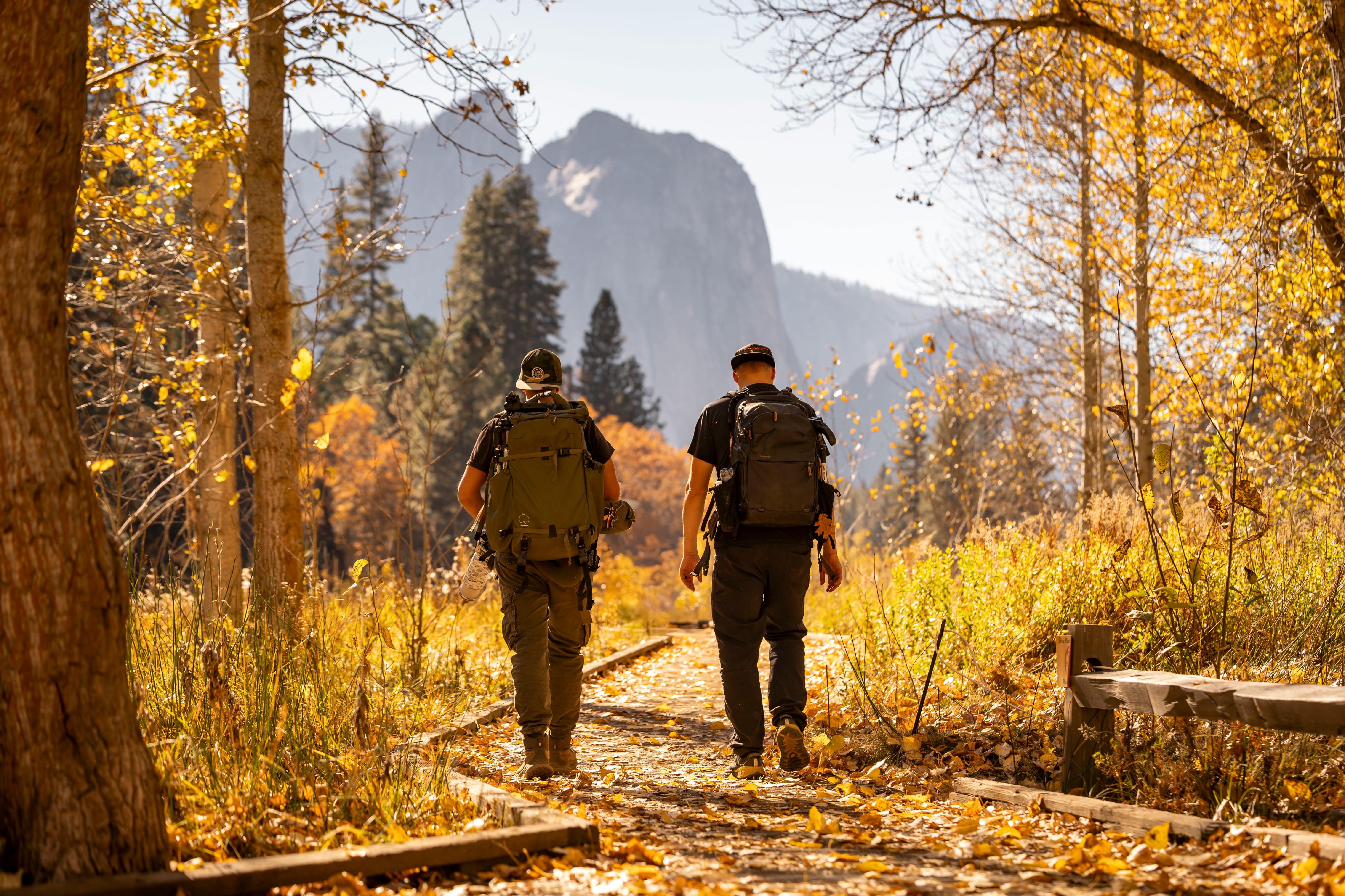 best gear reviews — Photo by Stephen Leonardi on Pexels