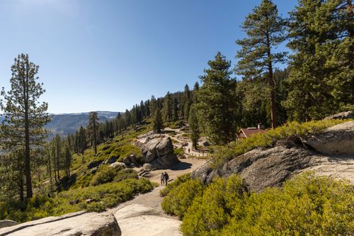 Free Explore the natural beauty of Yosemite National Park on a clear fall day with towering pine trees and stunning landscapes. Stock Photo