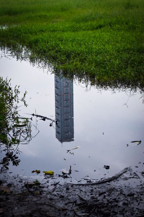 Free Reflection of a skyscraper in a puddle on grassy terrain, creating a unique urban landscape contrast. Stock Photo