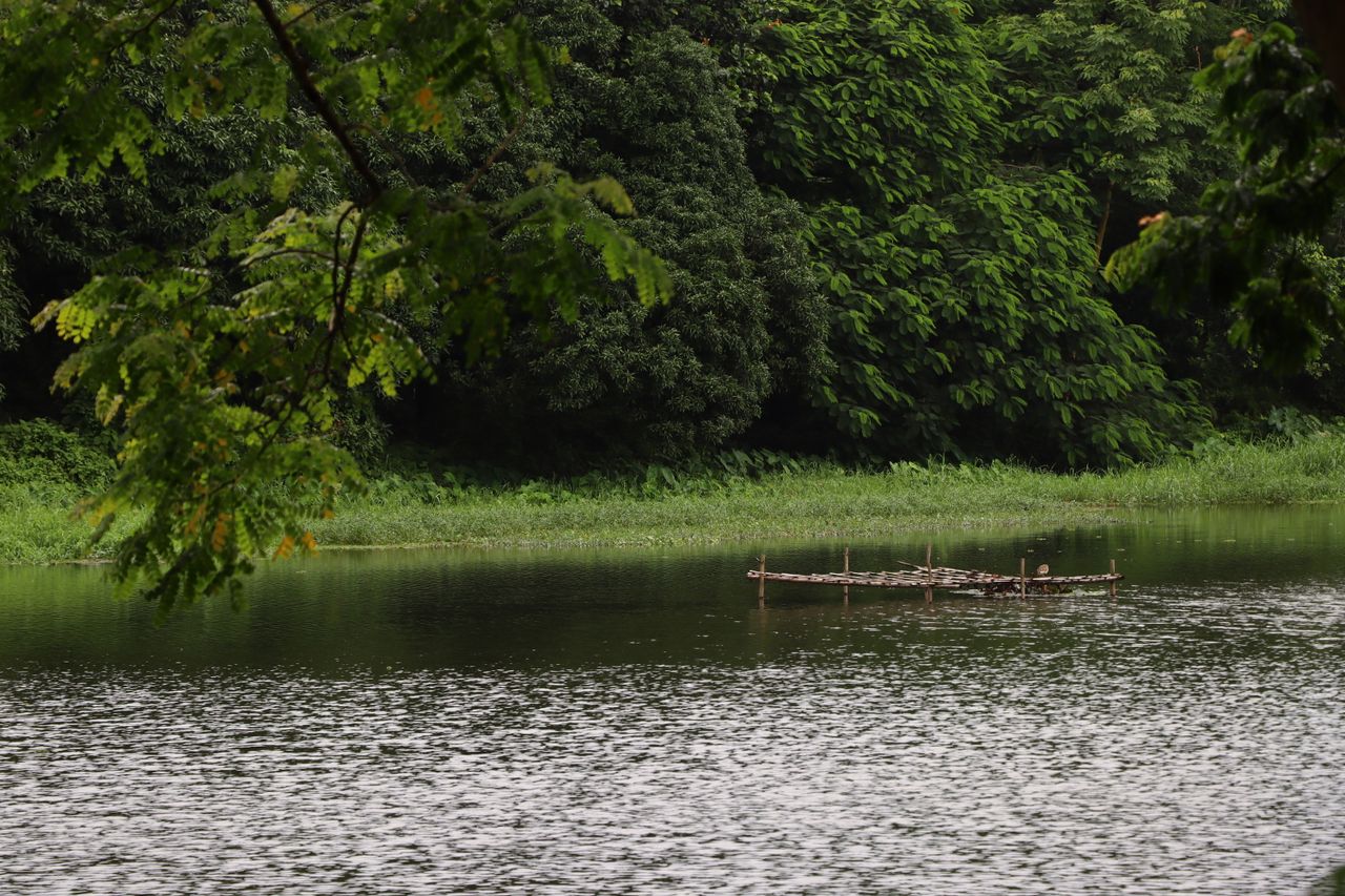 serene river view with lush green trees and a makeshift raft creating