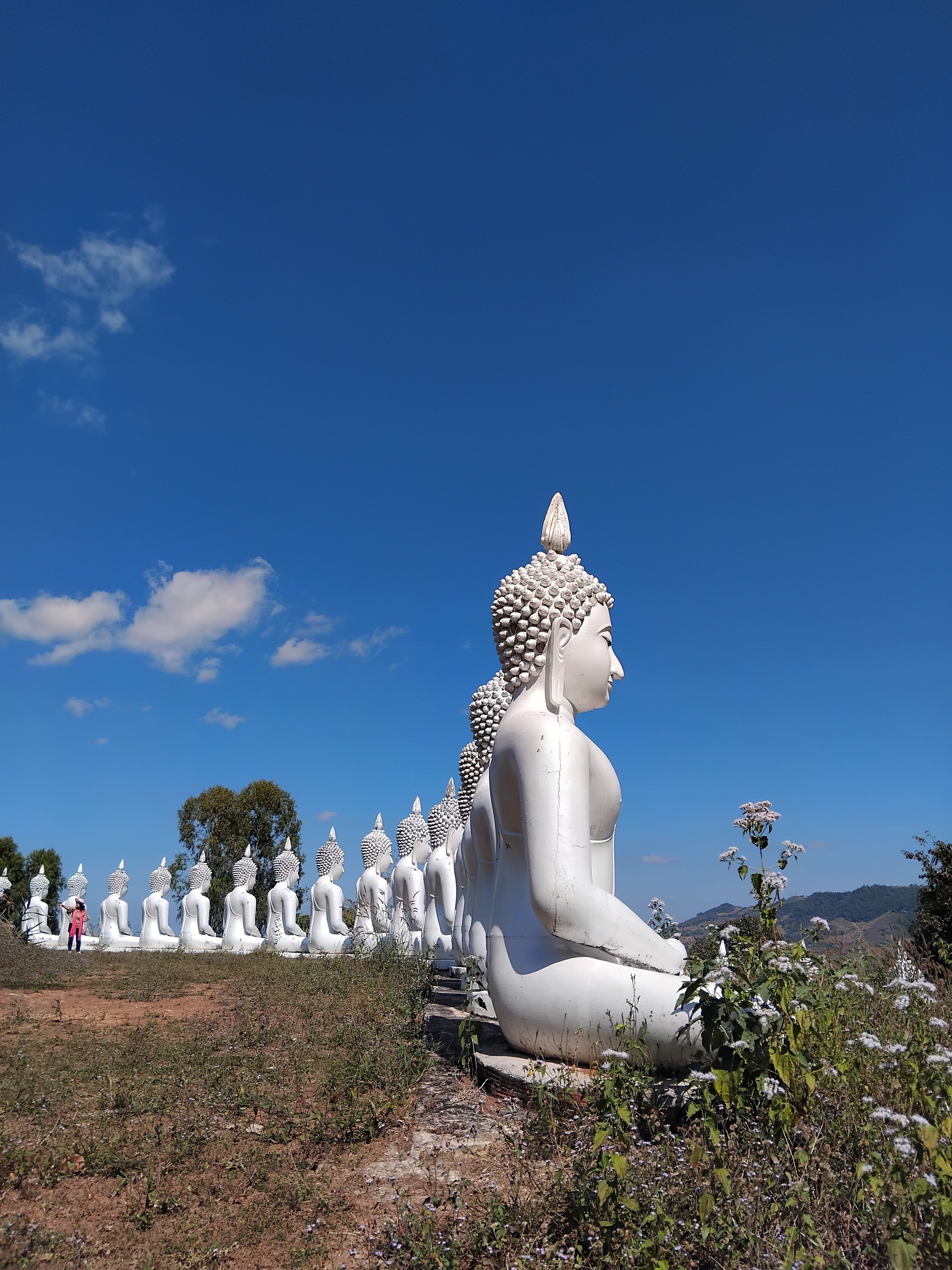 Series of White Buddha Statues Under Blue Sky · Free Stock Photo