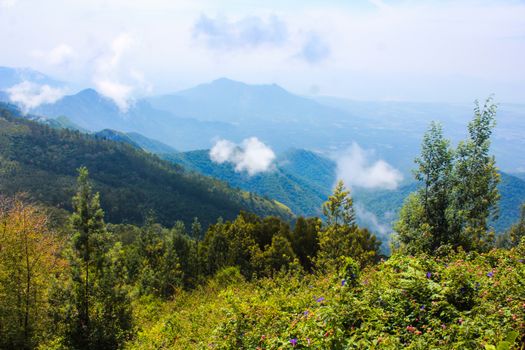 Stunning view of a mountainous landscape with lush greenery and clouds.