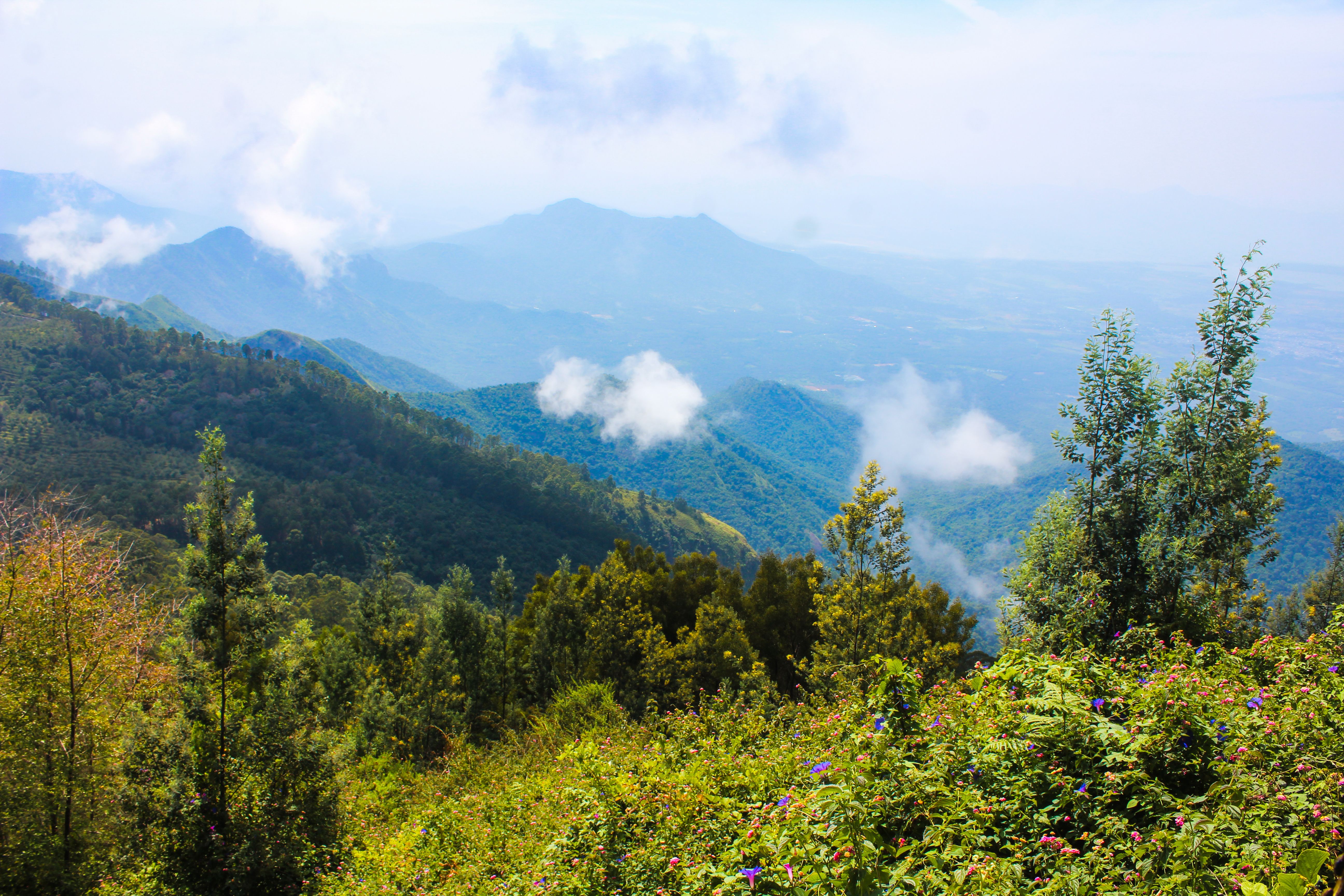 Scenic Mountain View with Lush Greenery · Free Stock Photo