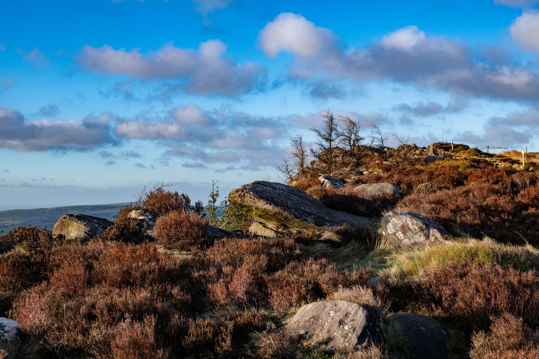 Autumn 2026: Where to Book for the North Yorkshire Moors National Park Open Day