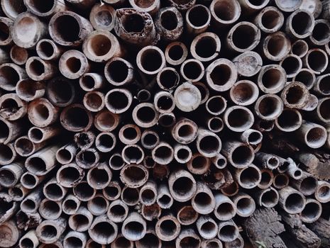 Close-up view of stacked hollow bamboo stalks, showcasing their natural textures and patterns.