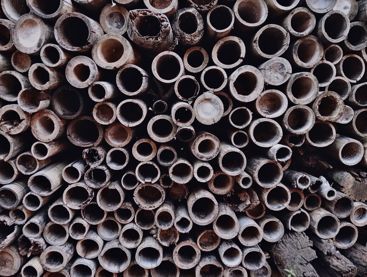 close up view of stacked hollow bamboo stalks showcasing their natural