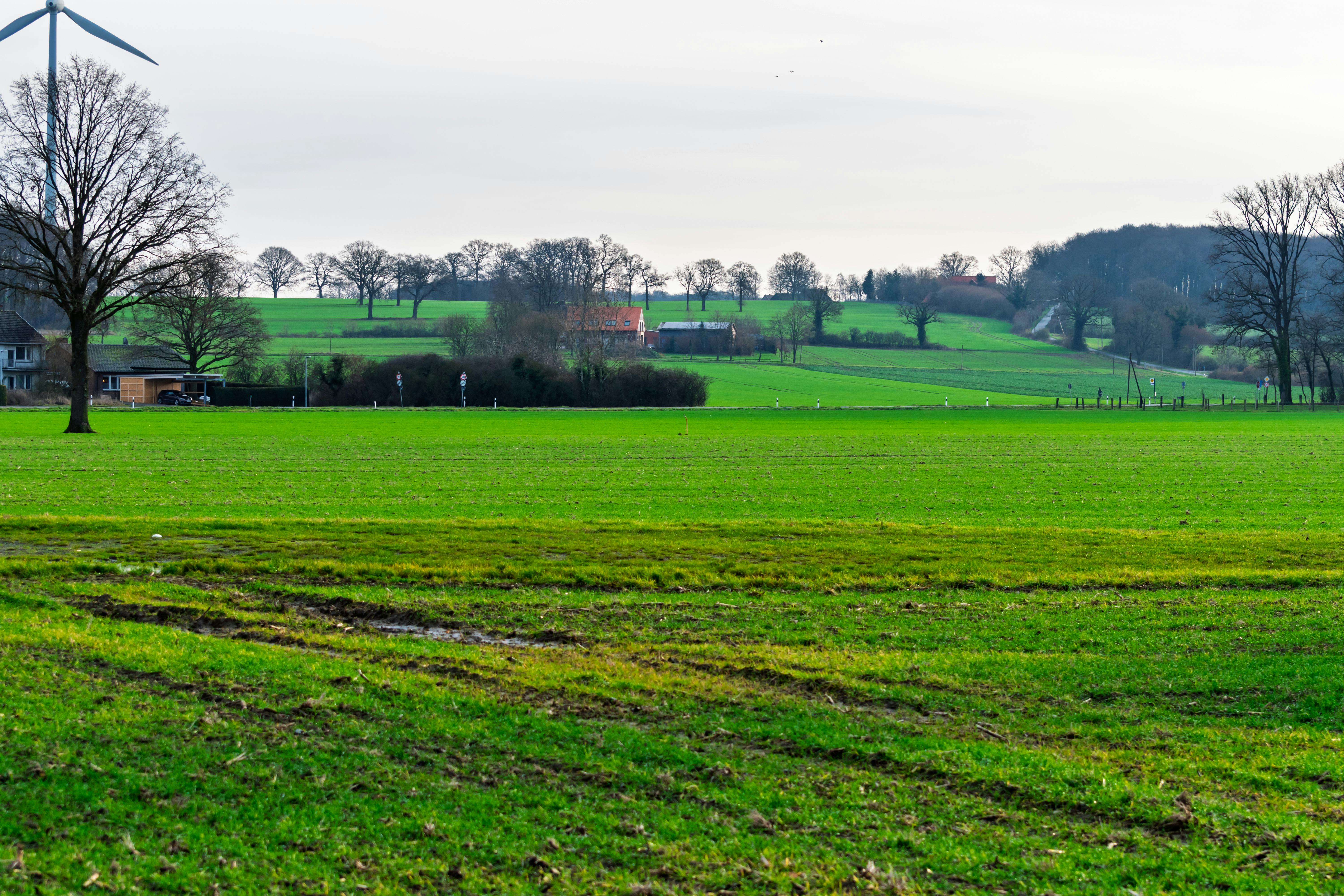 Must Know Ways to Boost Your Energy