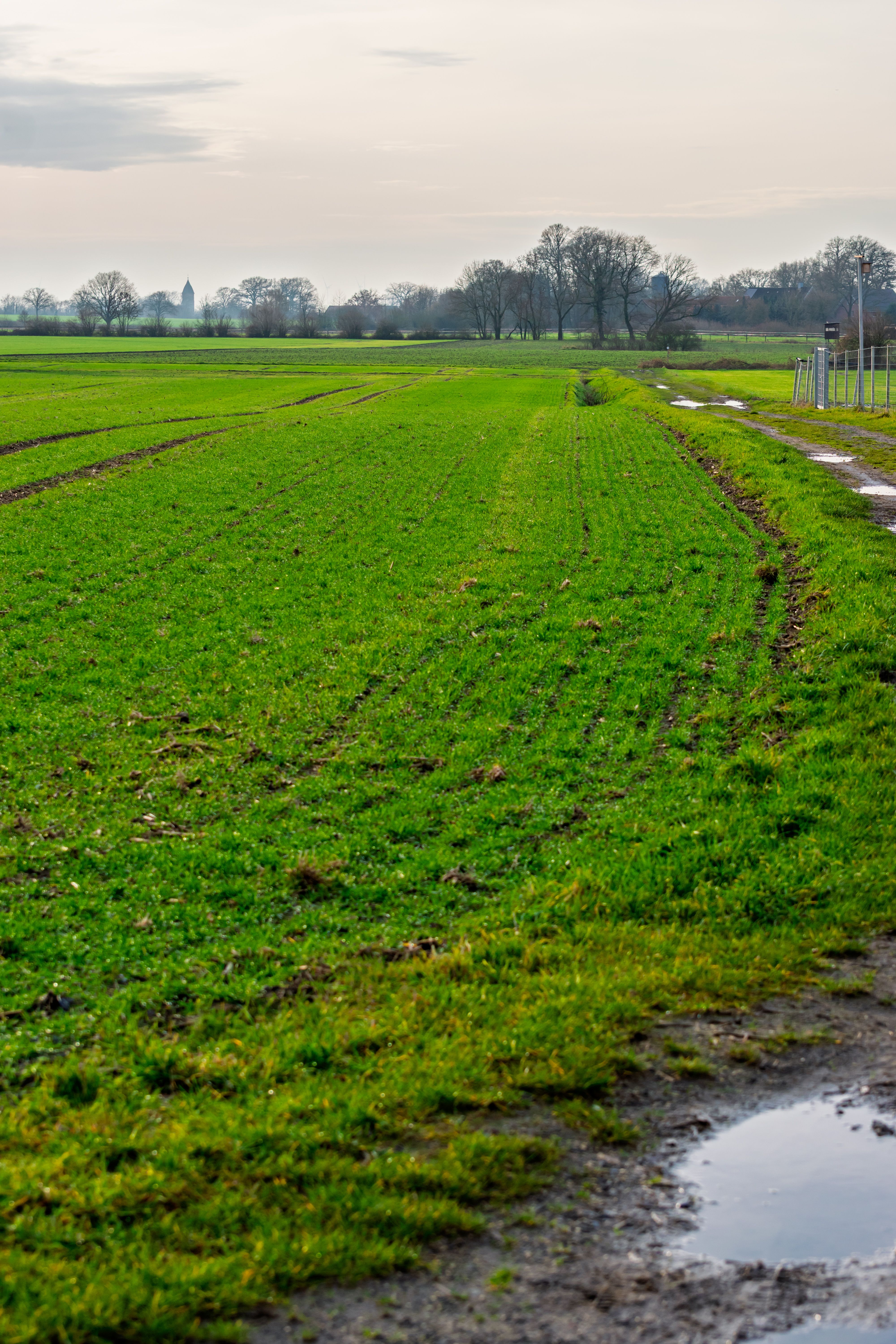 Bulb Field Cycle Route