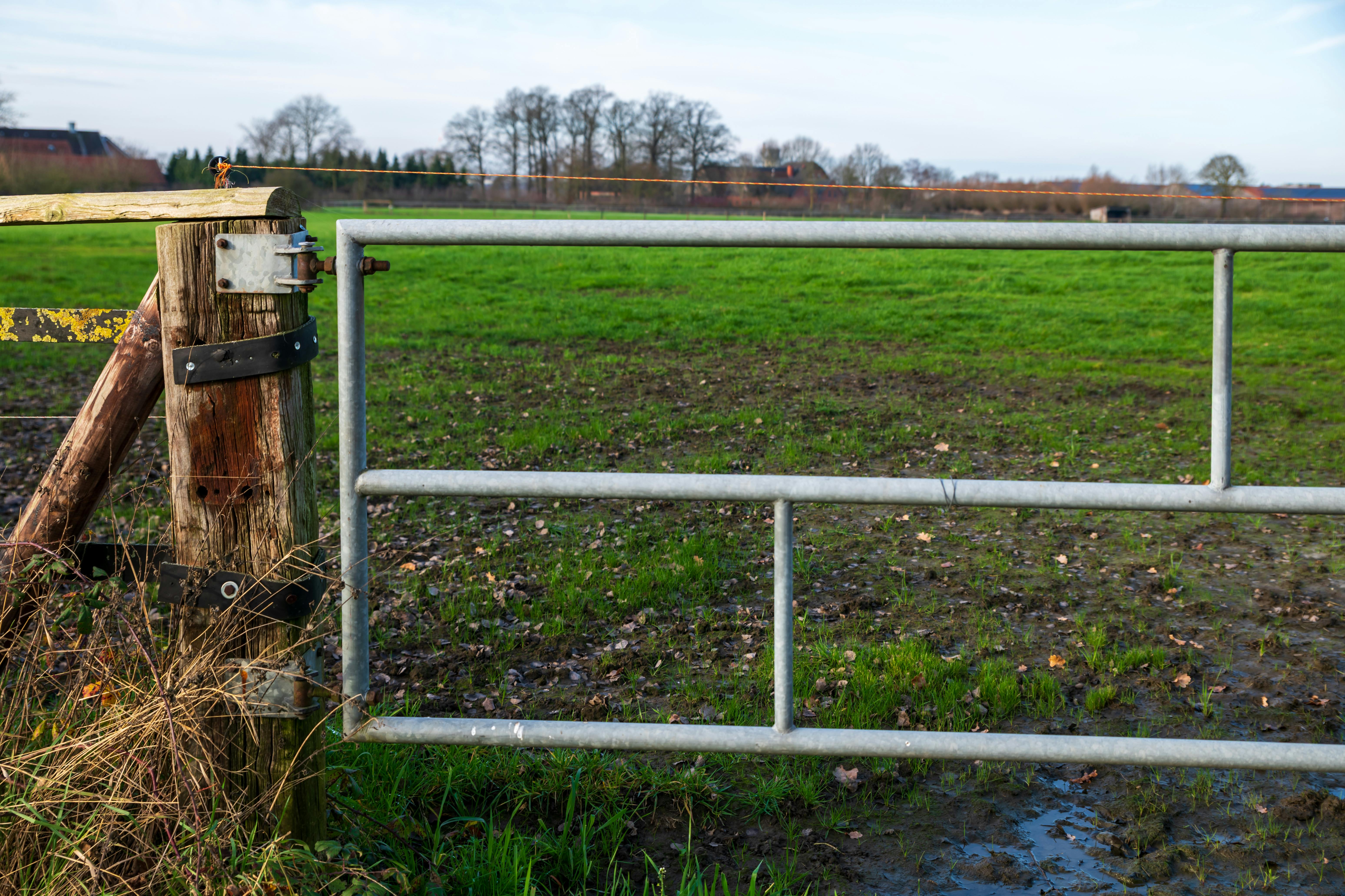 Hidden Benefits of Hydroponic Farming Uncovered