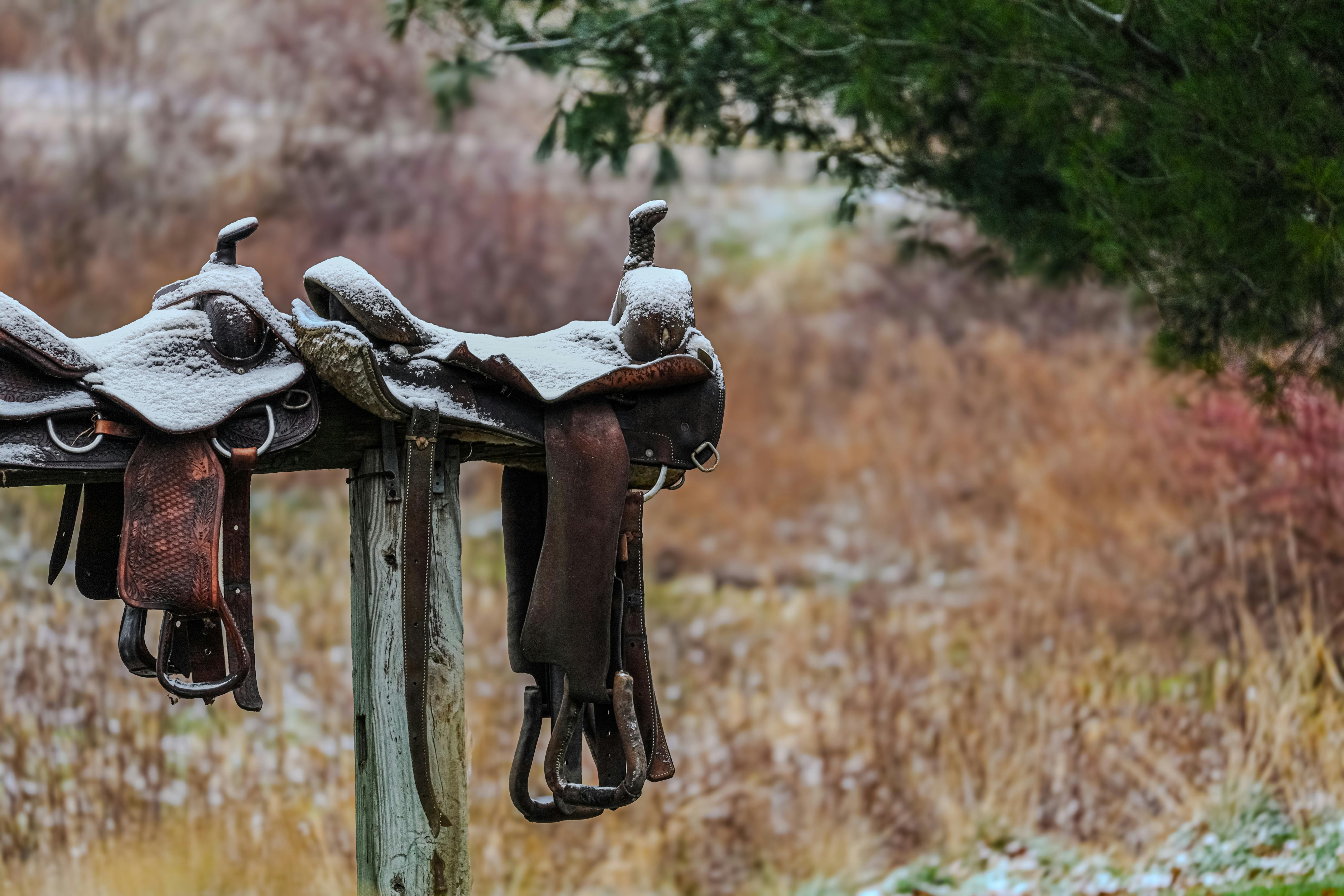 Snow Covered Horse Saddles on Wooden Rack