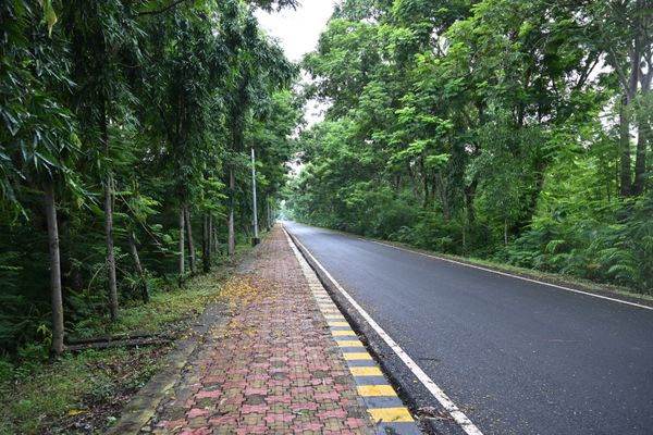 Guwahati - ASSAM ARUNACHAL MEGHALAYA 10 NIGHTS 11 DAYS - Stays