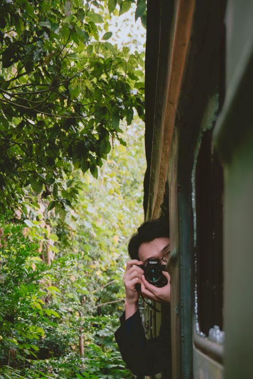 Free Photographer capturing the lush greenery from a moving train window, exemplifying adventure and travel. Stock Photo