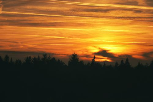 Free Dramatic sunset over a forest with silhouetted trees and vibrant sky. Stock Photo