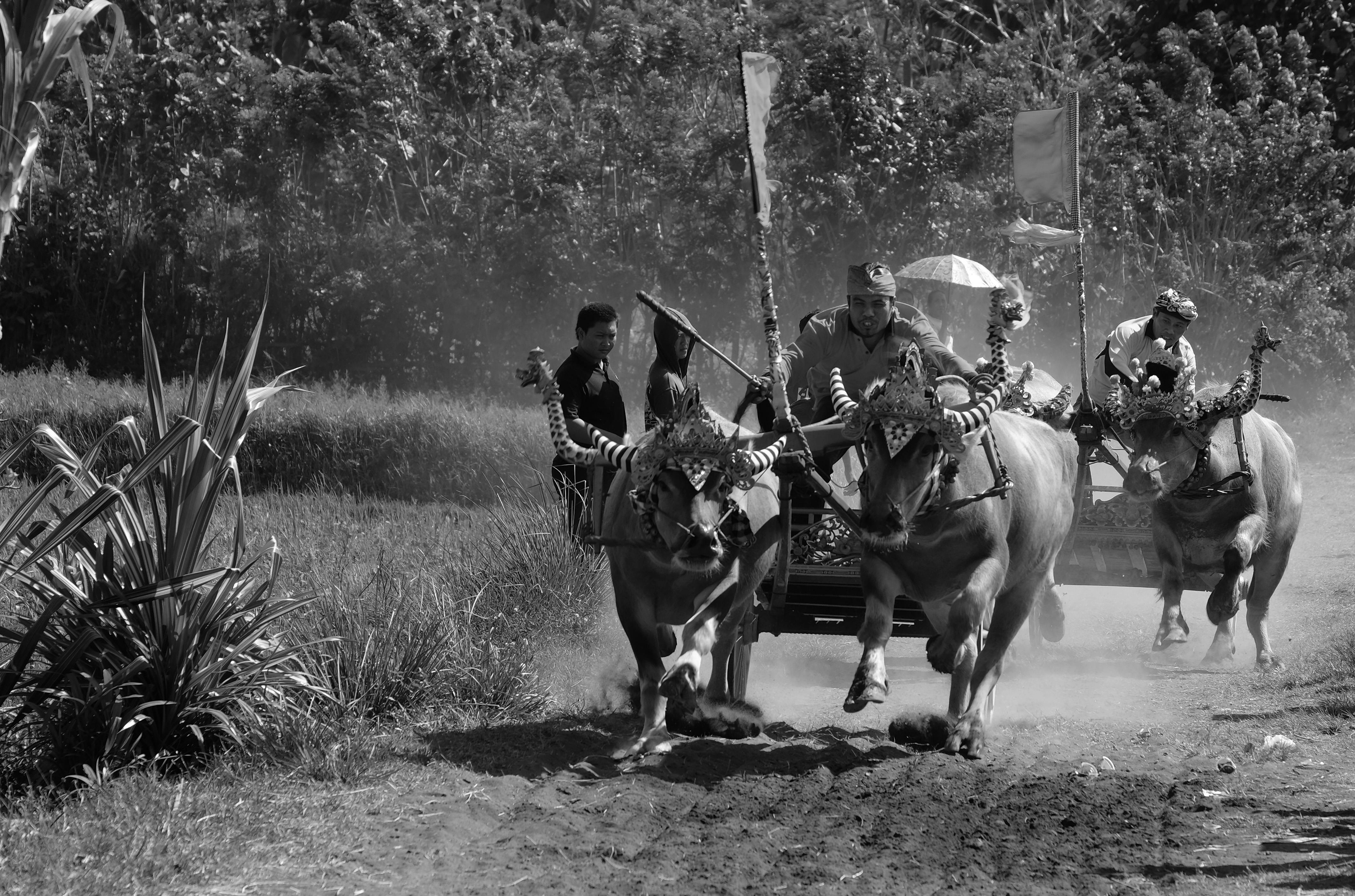 Swift Action by Local Rescuers