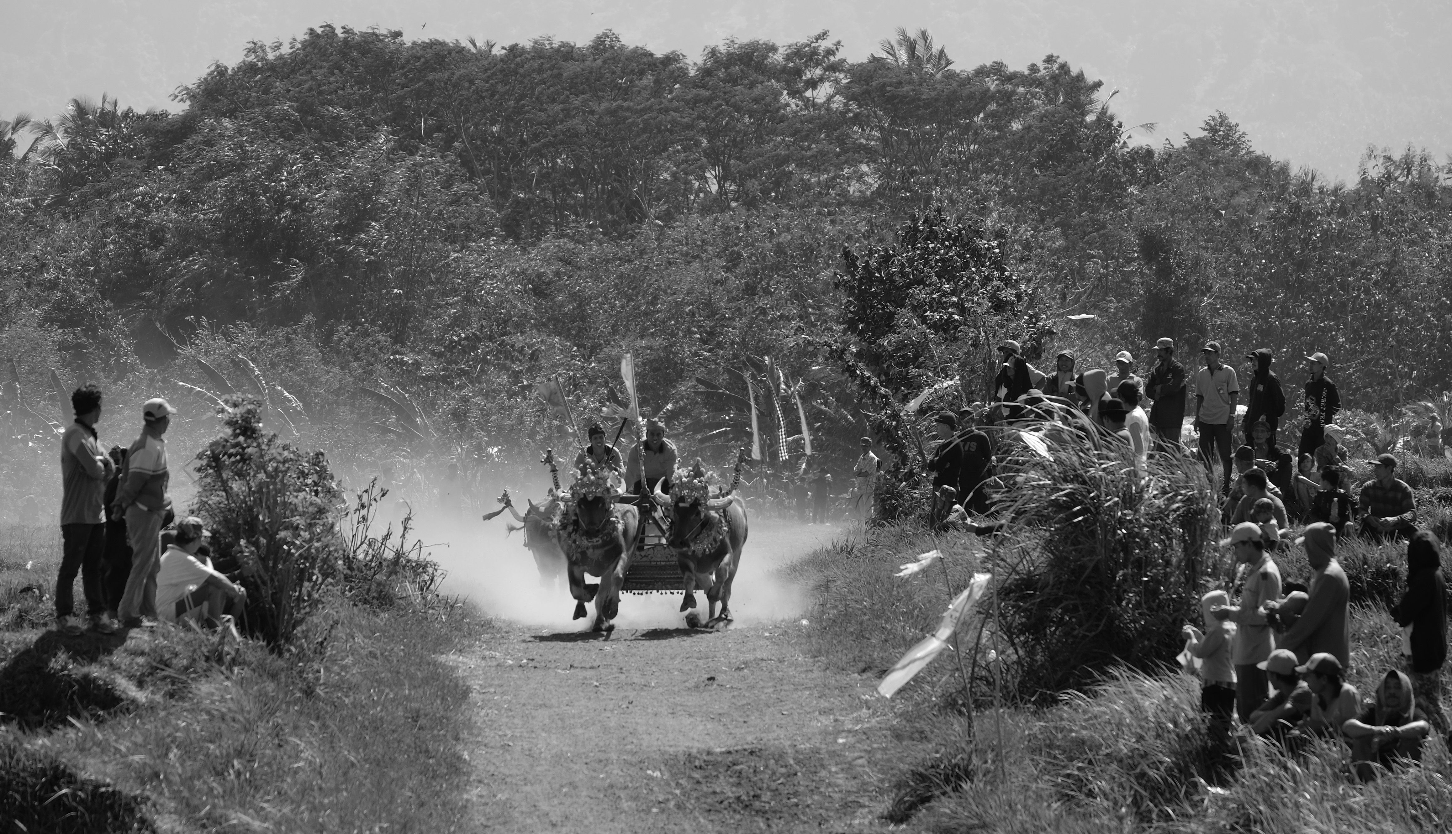 ‘Corrida dos Bichos’ se torna o filme de língua não inglesa MAIS ASSISTIDO do Prime Video nesta semana