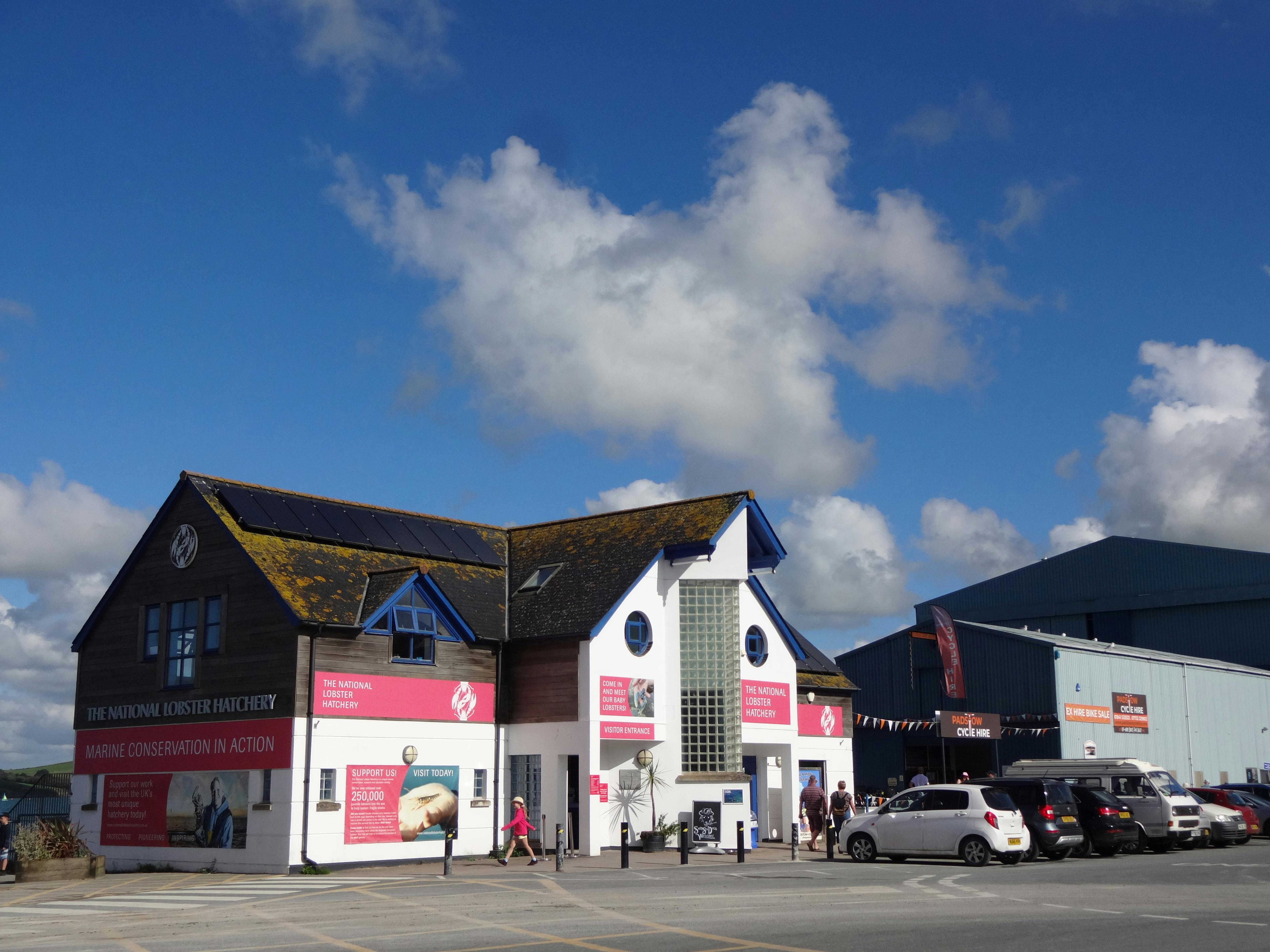 Free stock photo of art, atmosphere, beach