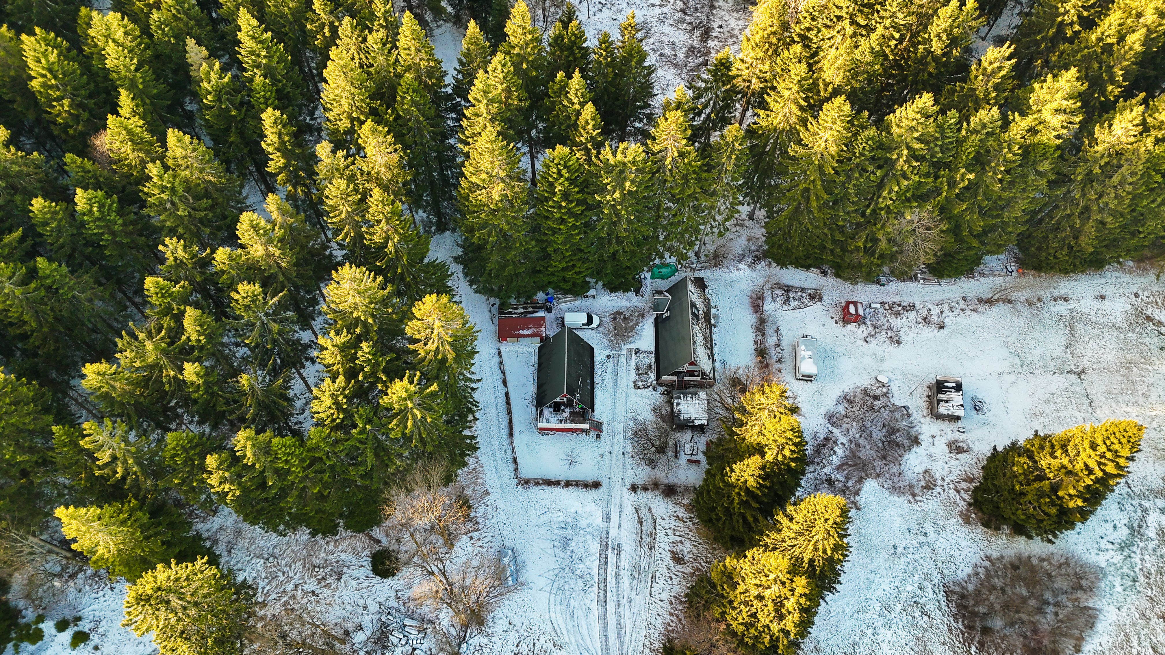 Aerial Winter Landscape of Snowy Forest and Cabins · Free Stock Photo
