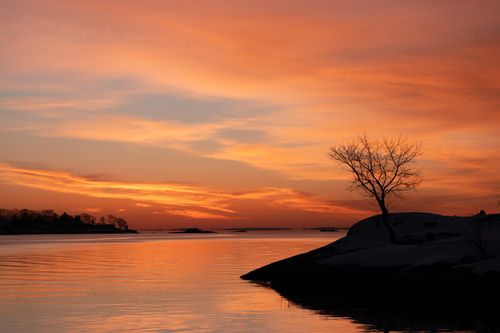 Free A tranquil winter sunrise over Cove Island Park in Stamford, Connecticut, with a vivid pink and orange sky. Stock Photo