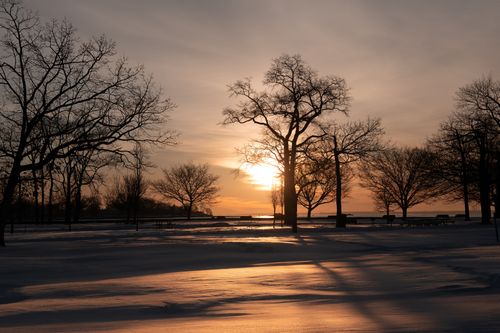 Free Beautiful winter sunrise over the snowy landscape of Cove Island Park, Stamford, Connecticut. Stock Photo