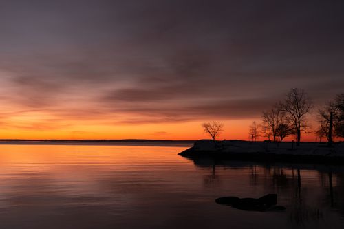 Free Serene winter sunrise with silhouetted trees at Cove Island Park, Stamford, Connecticut. Stock Photo