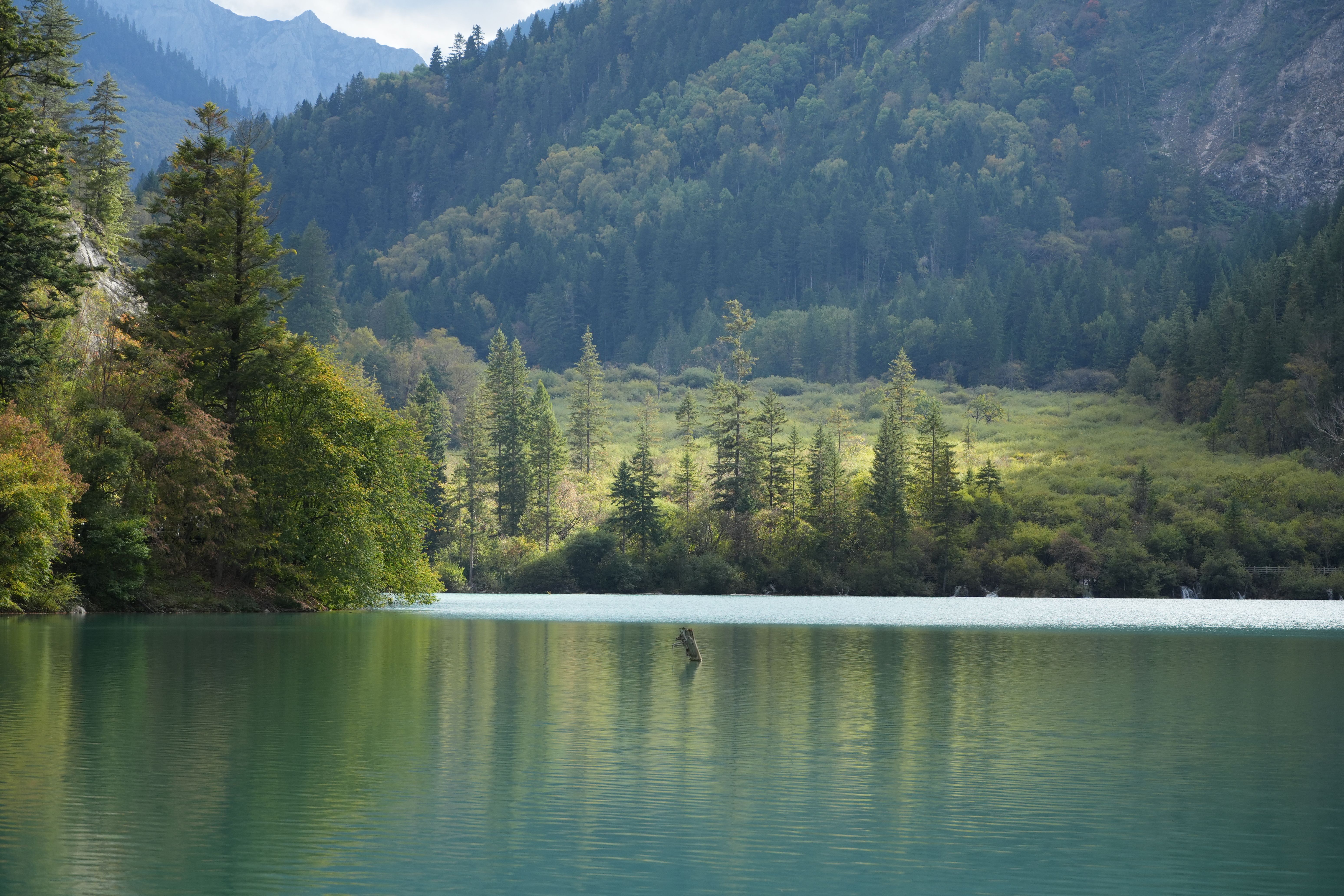 Tranquil Mountain Lake with Lush Forest Landscape · Free Stock Photo