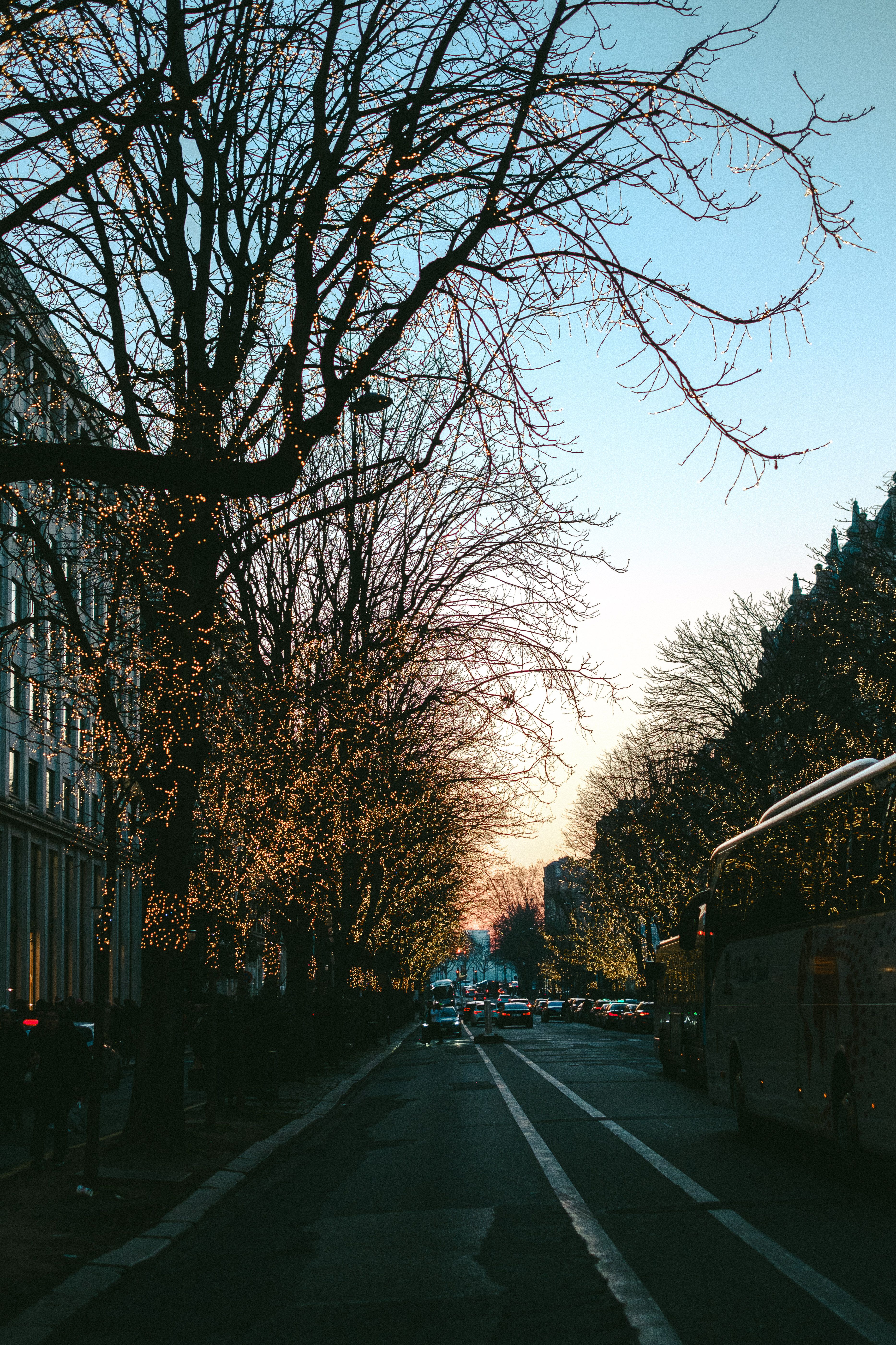 Scenic Urban Street at Sunset with Illuminated Trees · Free Stock Photo