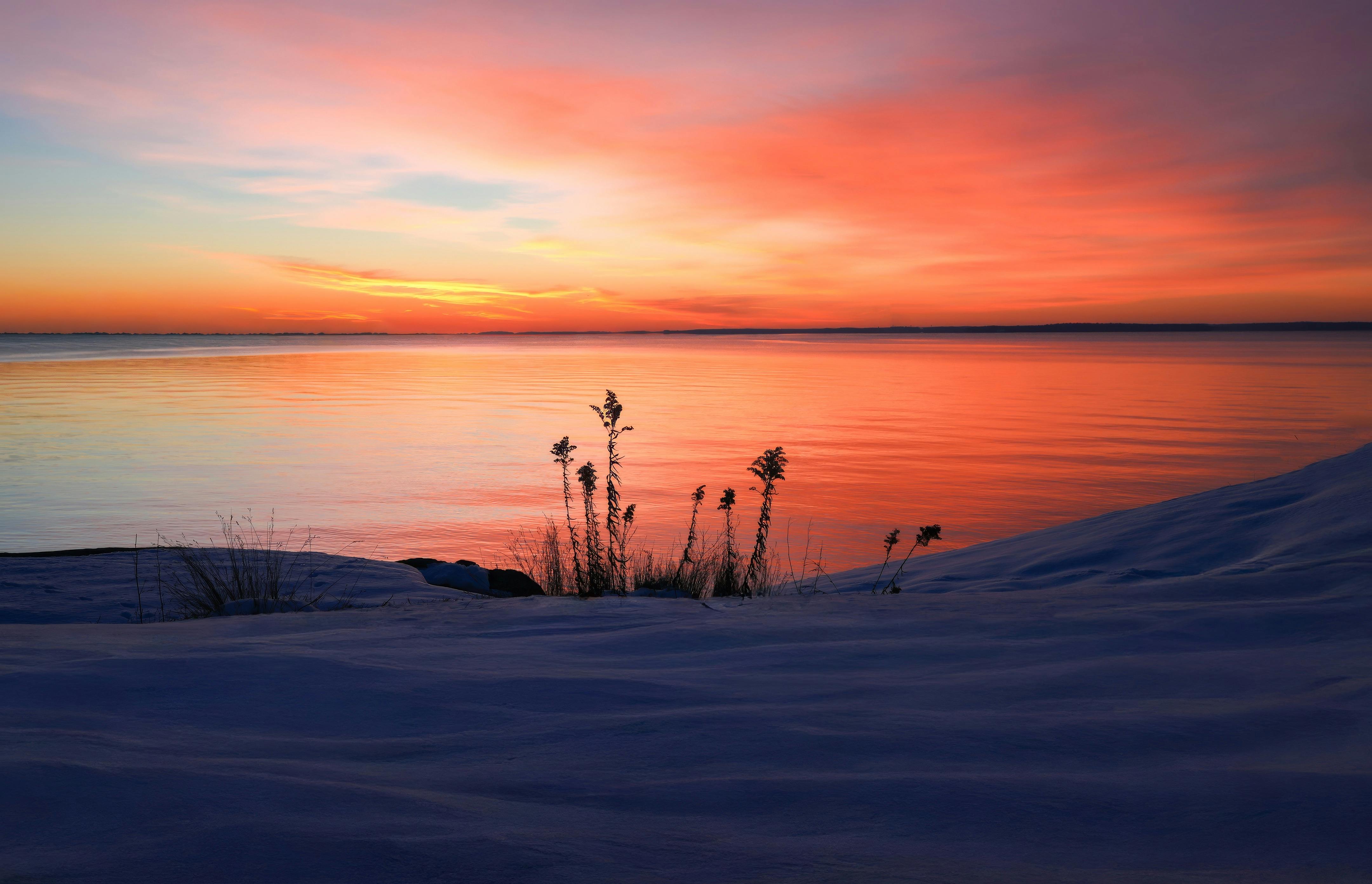 Laboratory vials and peptide powders on a workbench