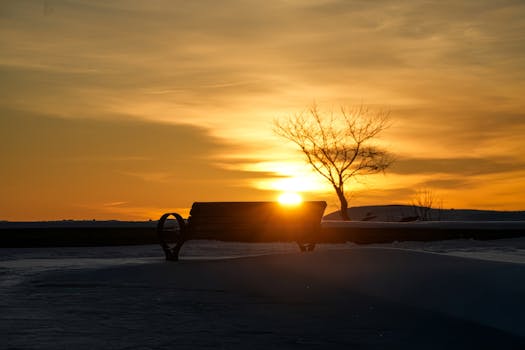 Serene winter sunset behind empty park bench and tree silhouette.