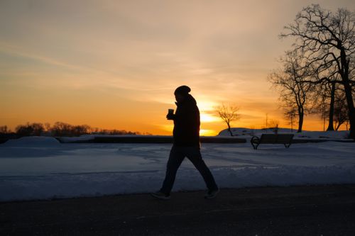 Free A person walking during a beautiful winter sunset surrounded by snow and bare trees. Stock Photo