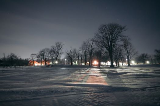 Peaceful scene of bare trees in a snow-covered park at night.