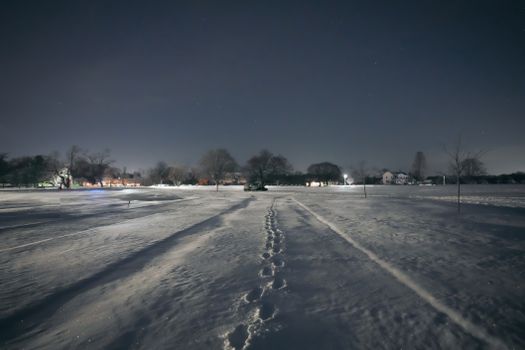 A peaceful snowy field with footprints leading into the distance under a clear night sky.