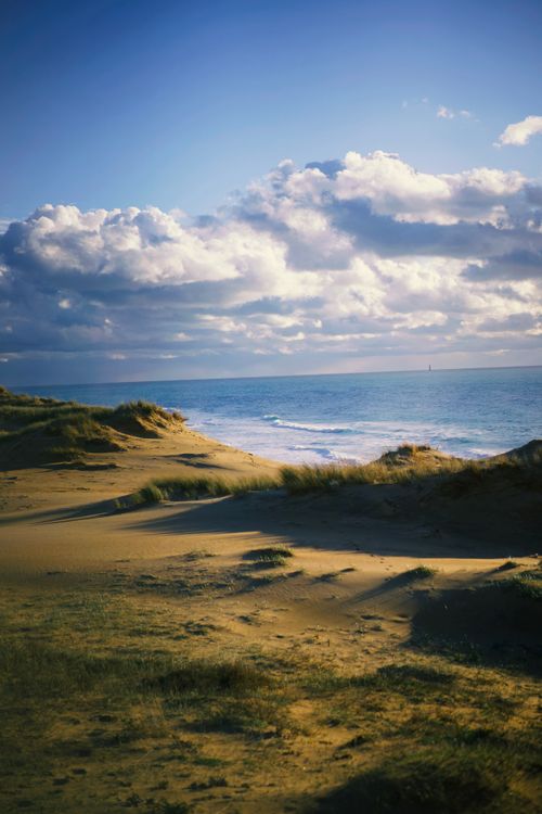 Free Peaceful coastal scene with sand dunes and ocean under cloudy sky. Stock Photo
