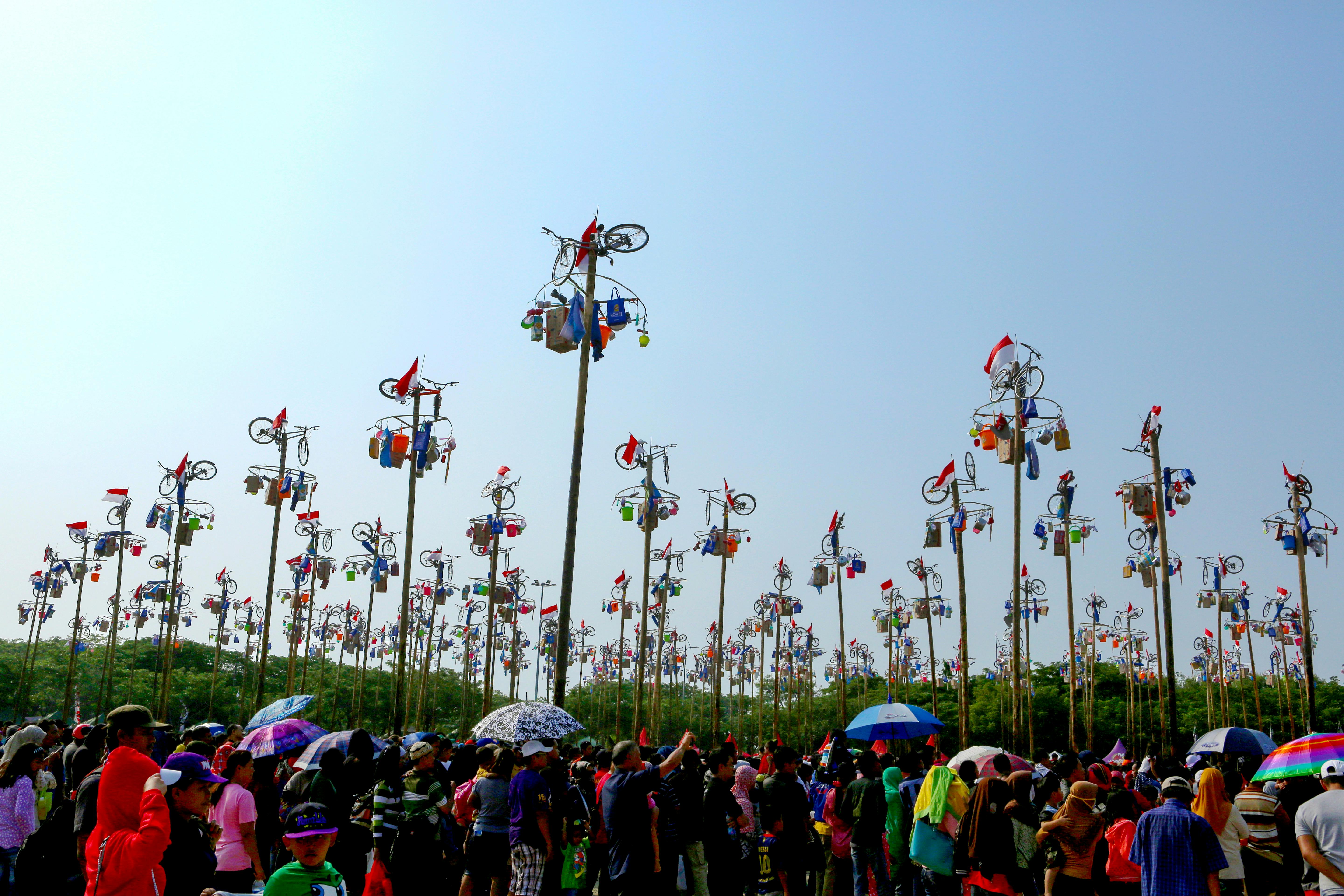 17 August Final Term Current Papers 2023