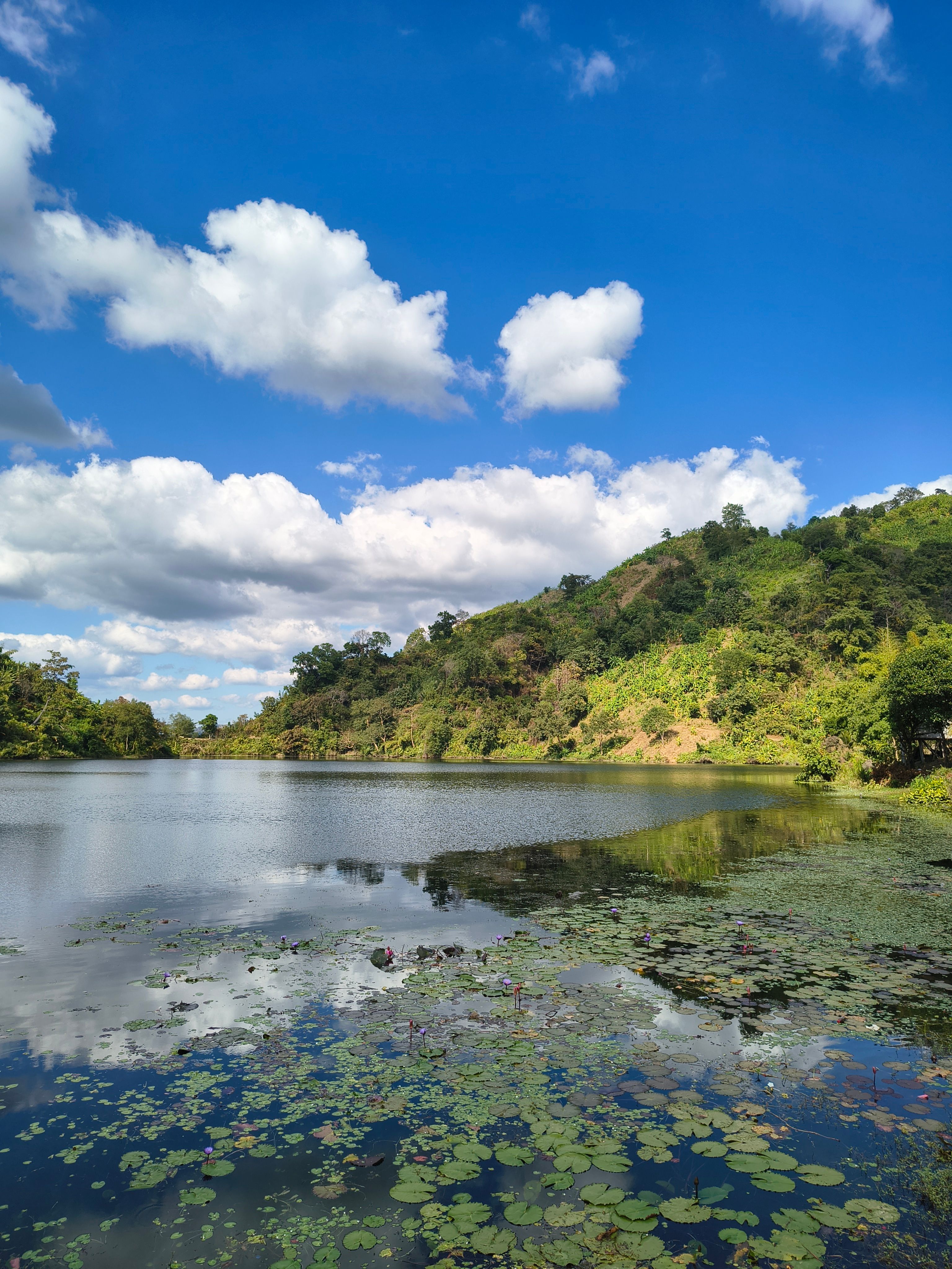 Scenic Mountain Lake Under Bright Blue Sky · Free Stock Photo