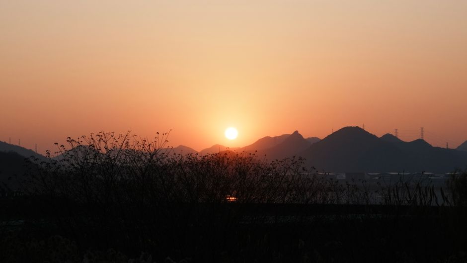 朝阳风景