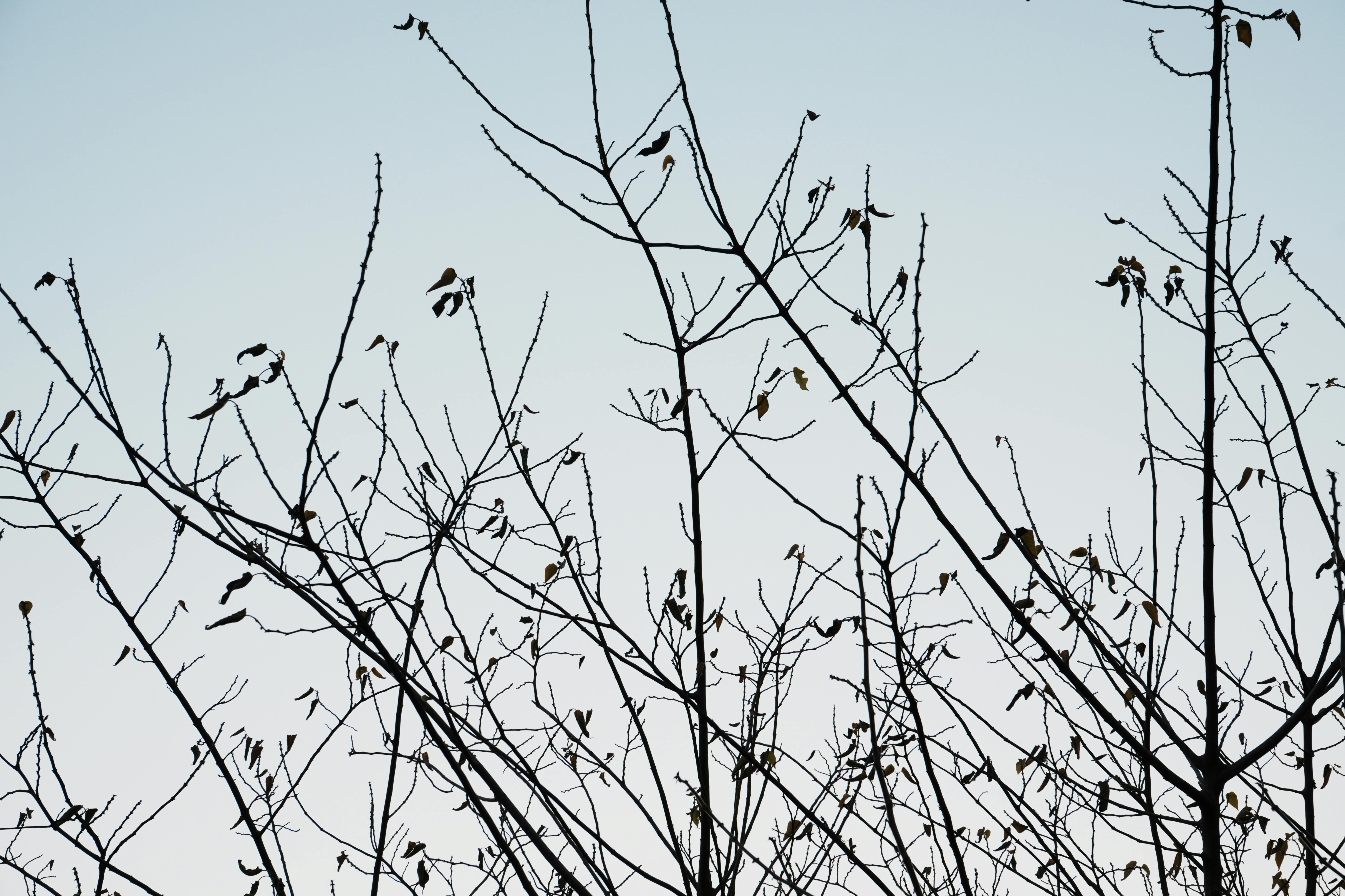 公司紀念品推薦