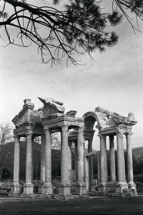 Free A striking black and white photograph of ancient Greco-Roman ruins framed by branches. Stock Photo