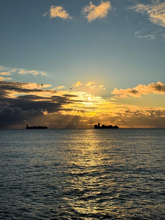Stunning Sunset Over Calm Ocean with Silhouetted Ships · Free Stock Photo
