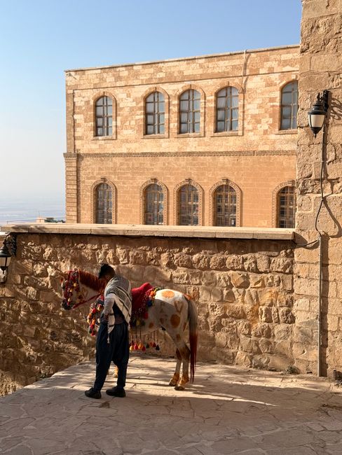 A traditional horseman stands with his decorated horse on a historic street in Mardin, Türkiye.