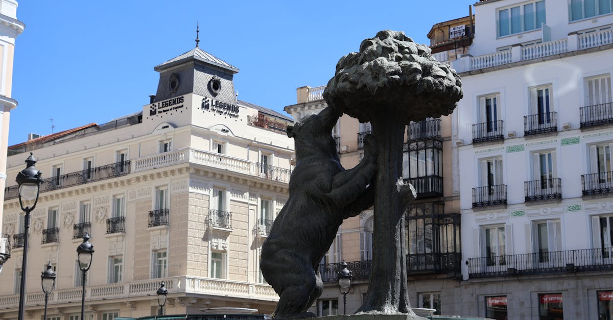 Madrid, en España: por qué el gobierno corporativo influye en el costo de financiamiento Madrid, en España: por qué el gobierno corporativo influye en el costo de financiamiento