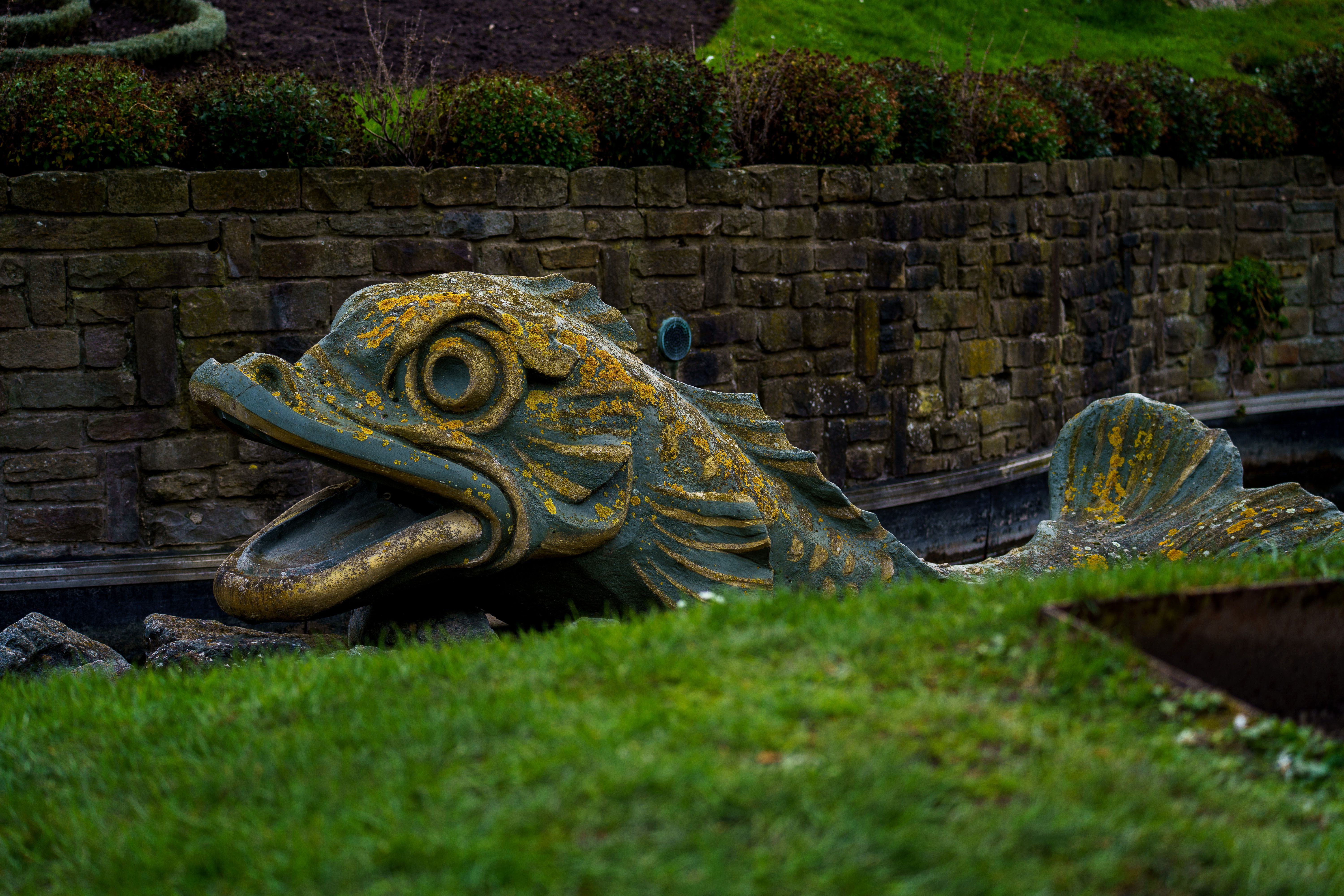 fish heads garden