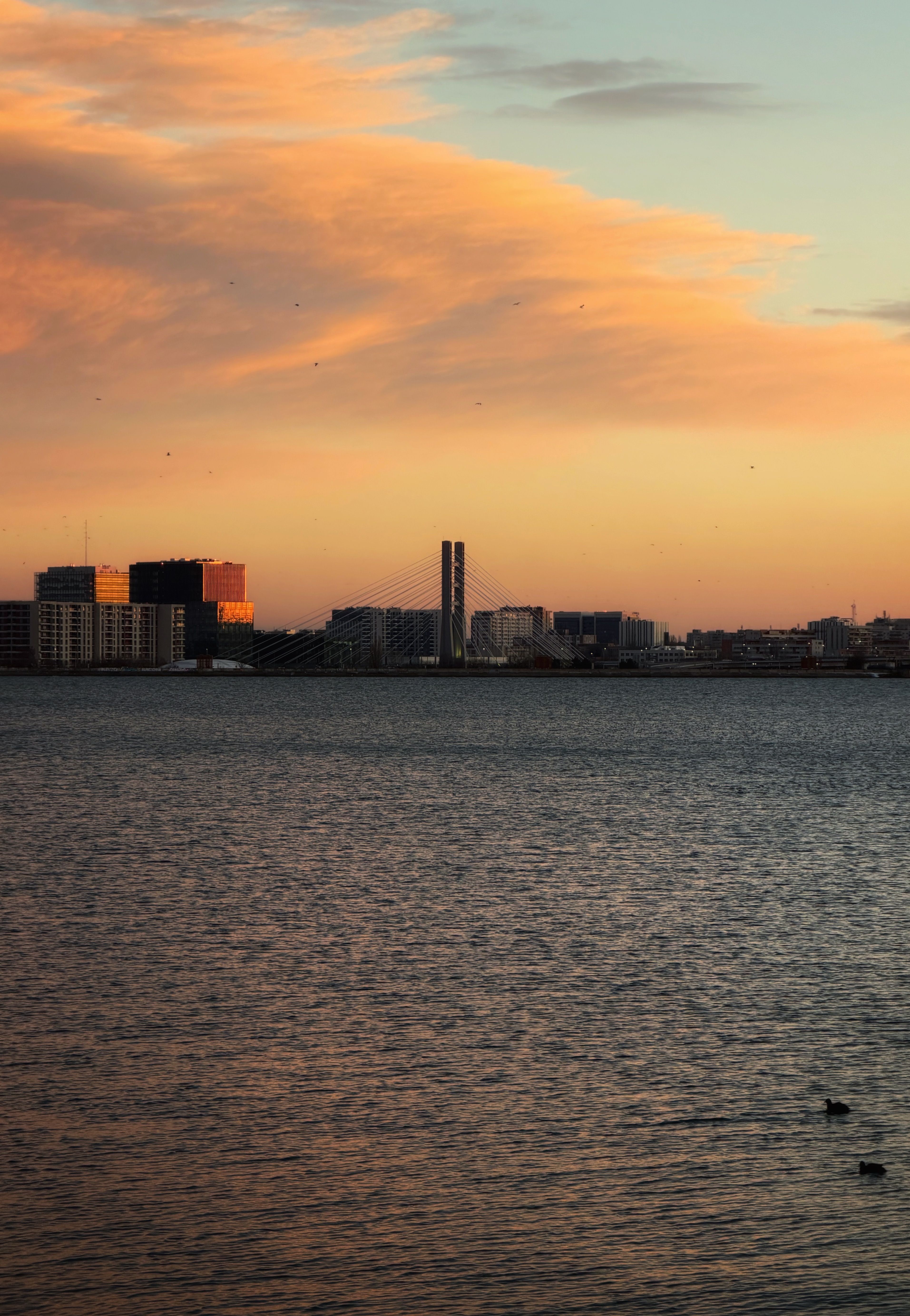 Serene Sunset Over Modern Cityscape and River · Free Stock Photo
