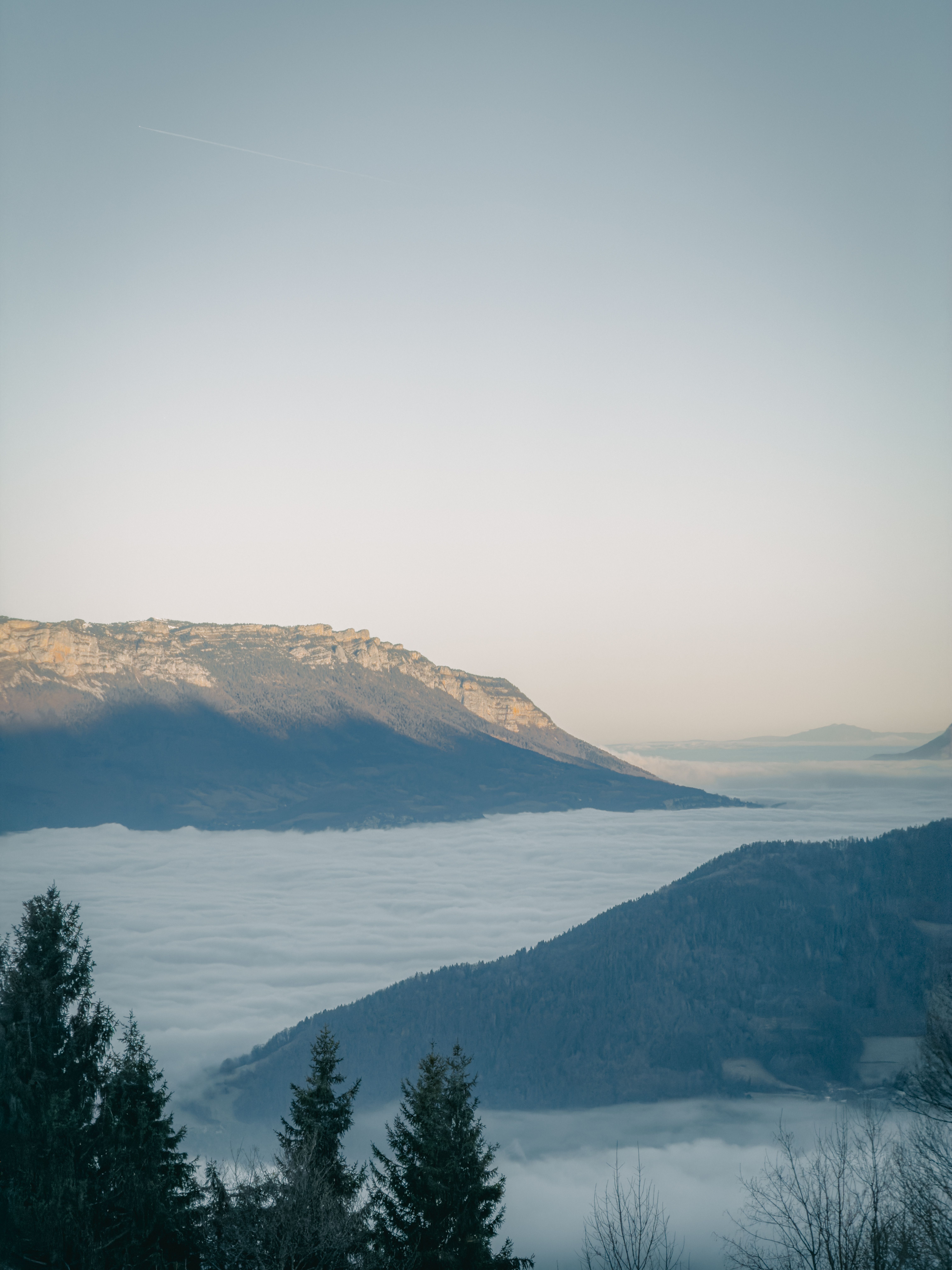 Serene Mountain Landscape with Fog and Trees · Free Stock Photo