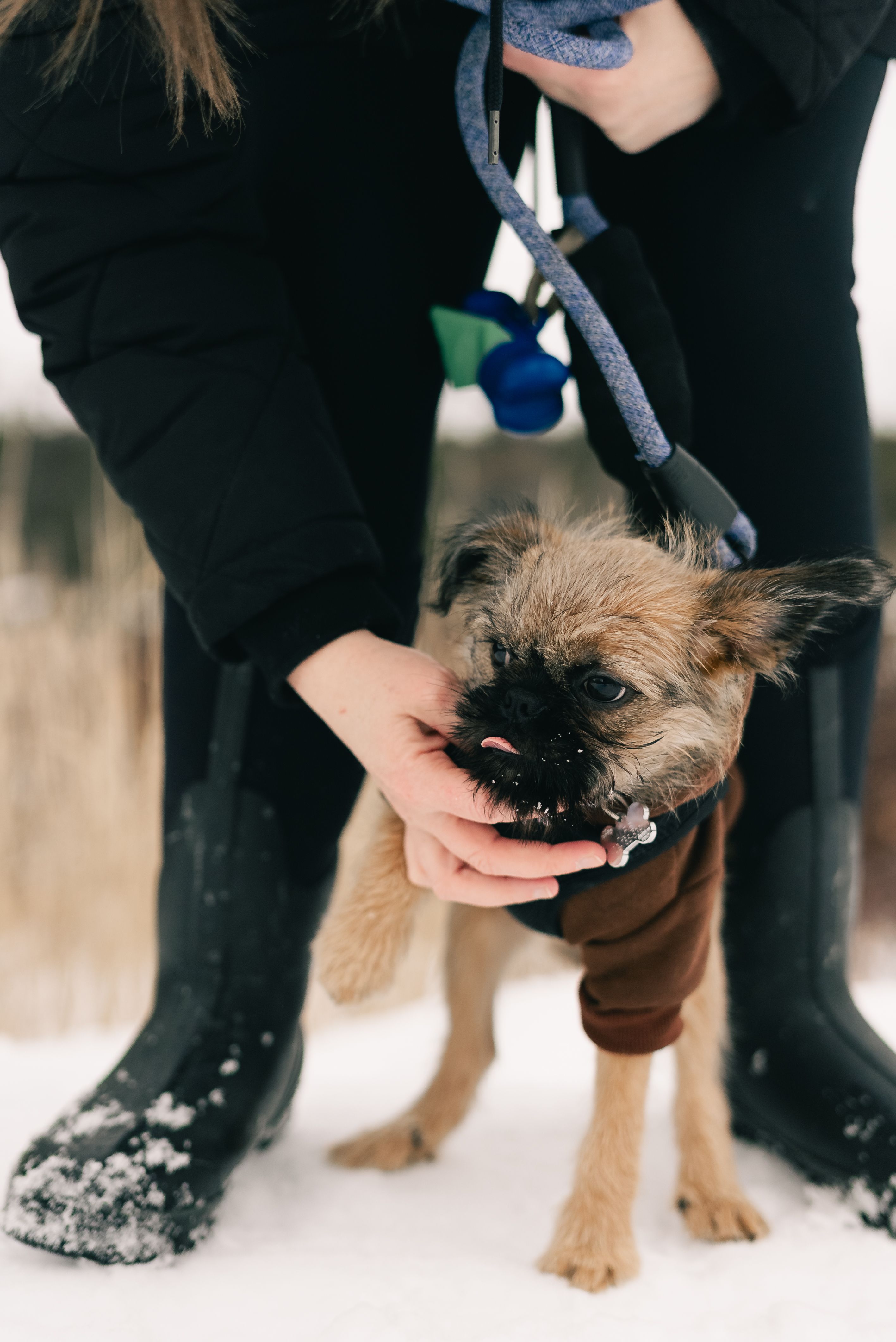 Why Do Puppies Bite and How to Manage This Behavior