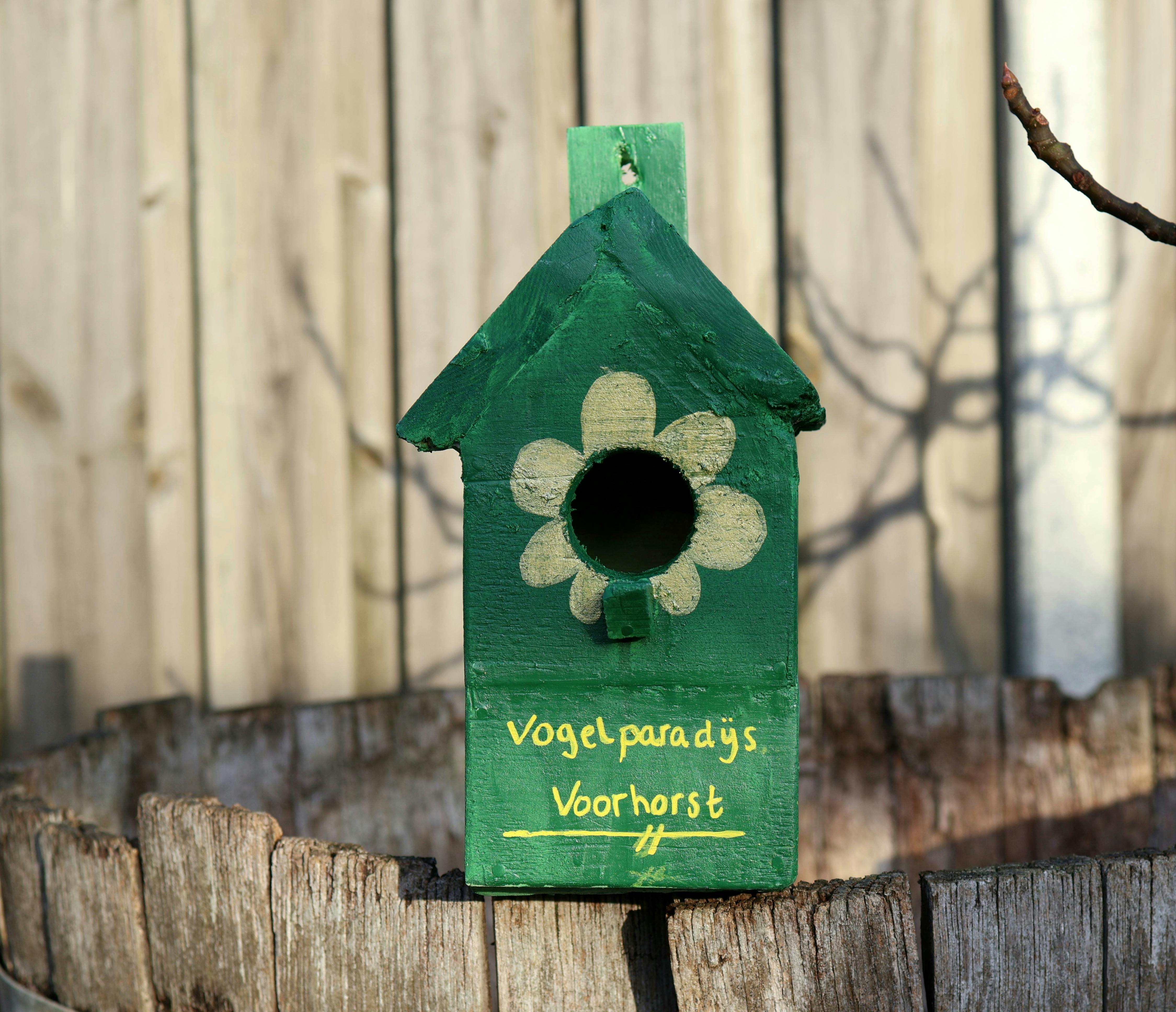 Nachhaltiges DIY: Einfacher Vogelh&auml;uschen-Bau f&uuml;r Anf&auml;nger - &Uuml;bersicht