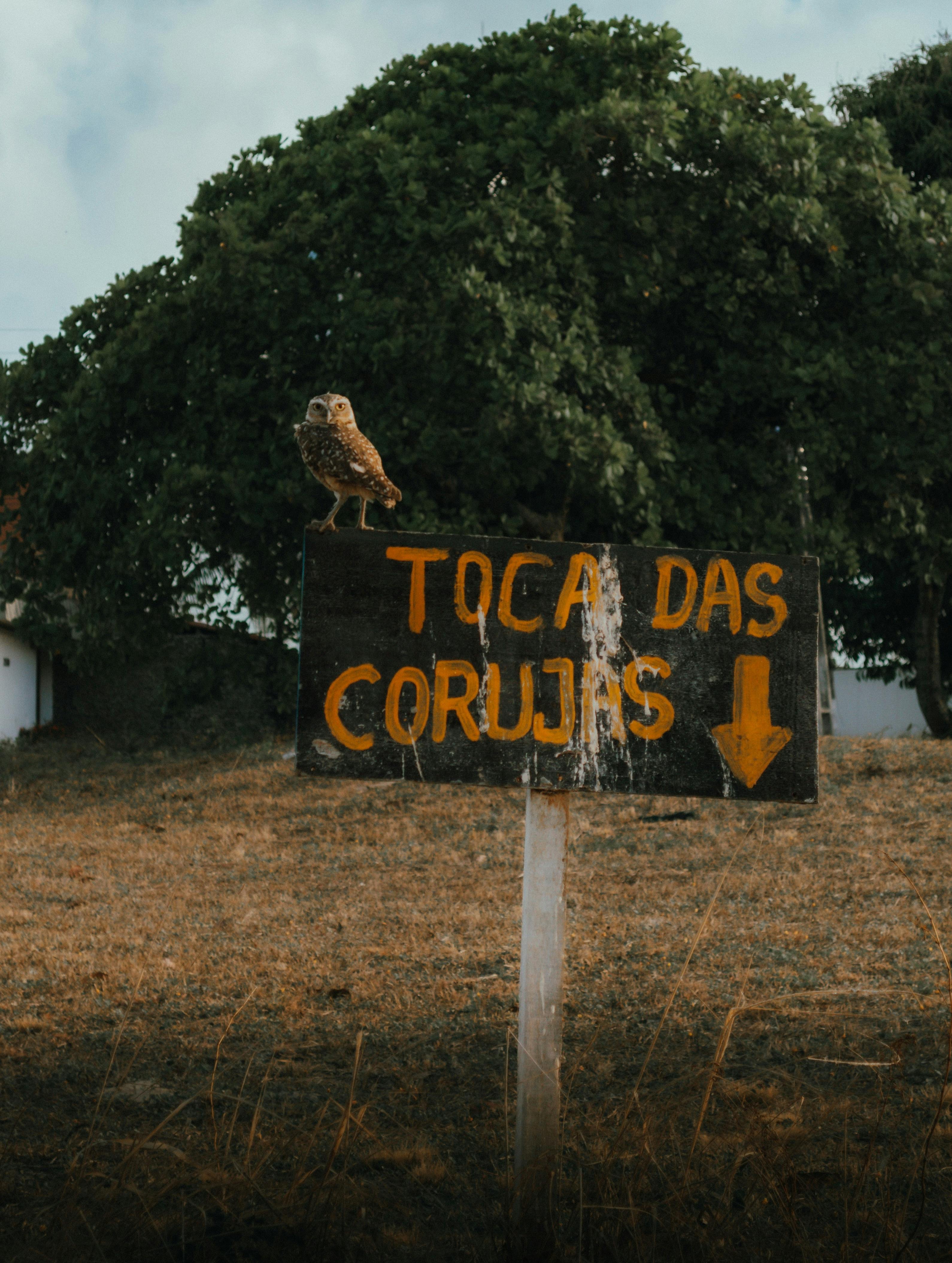 Freie Energie06 Kostenlos-Strom-Fuer-Das-Ganze-Haus (R)