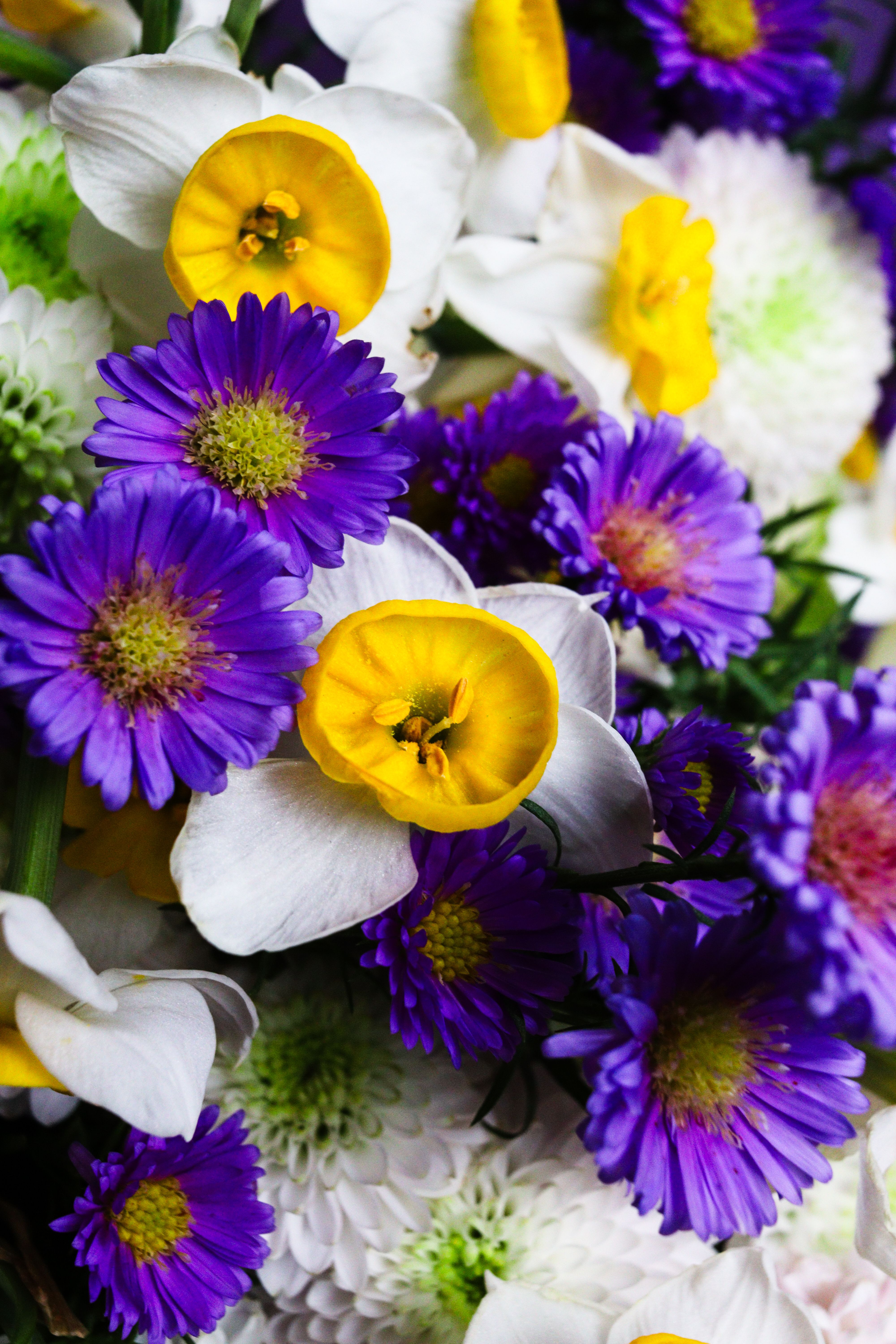 [ColoSach]-colorful-bouquet-featuring-daisies,-asters,-and-daffodils-with-vivid-yellow-and-purple-hues.