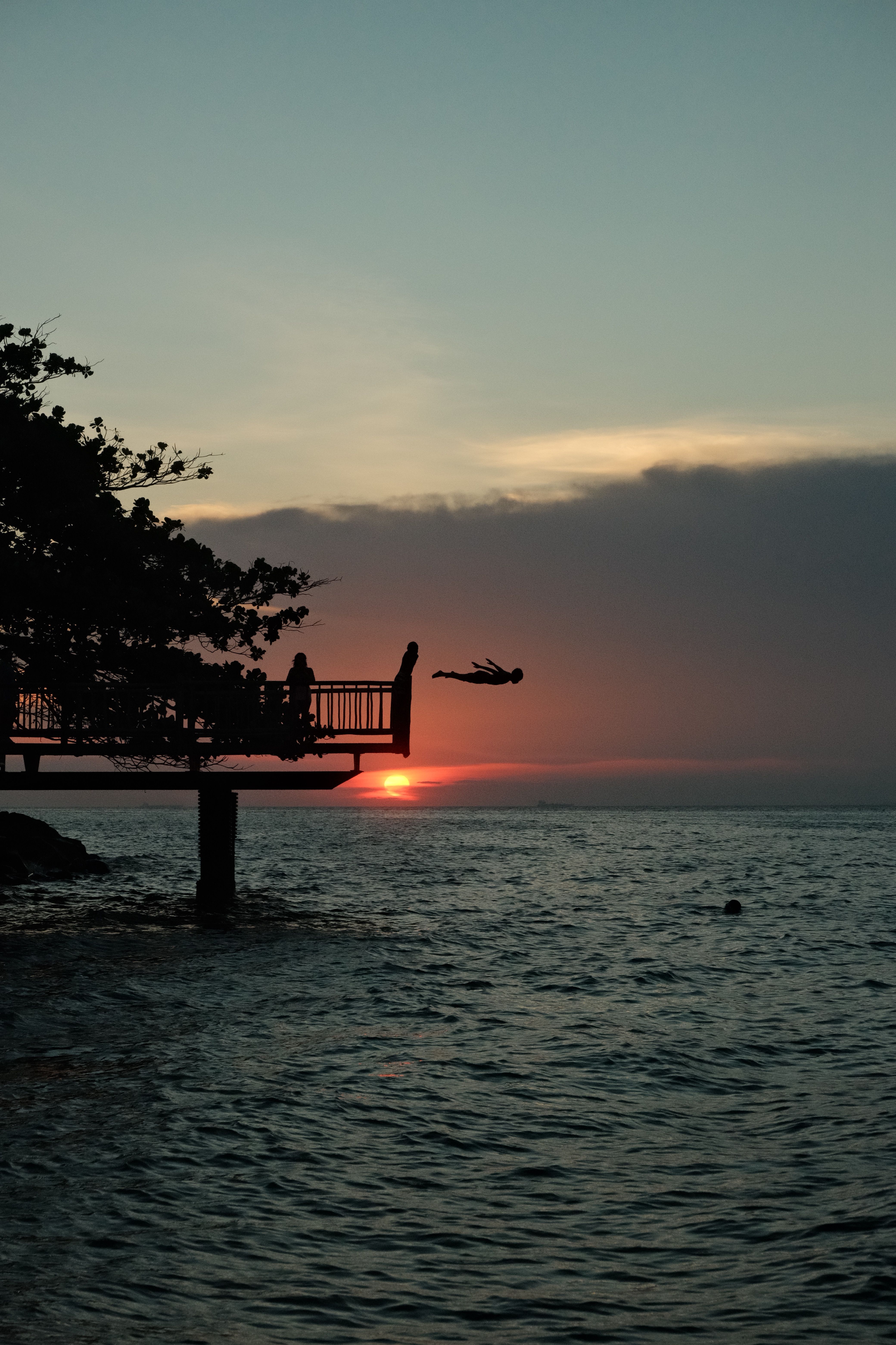 Silhouette Dive into Sunset Over Ocean · Free Stock Photo
